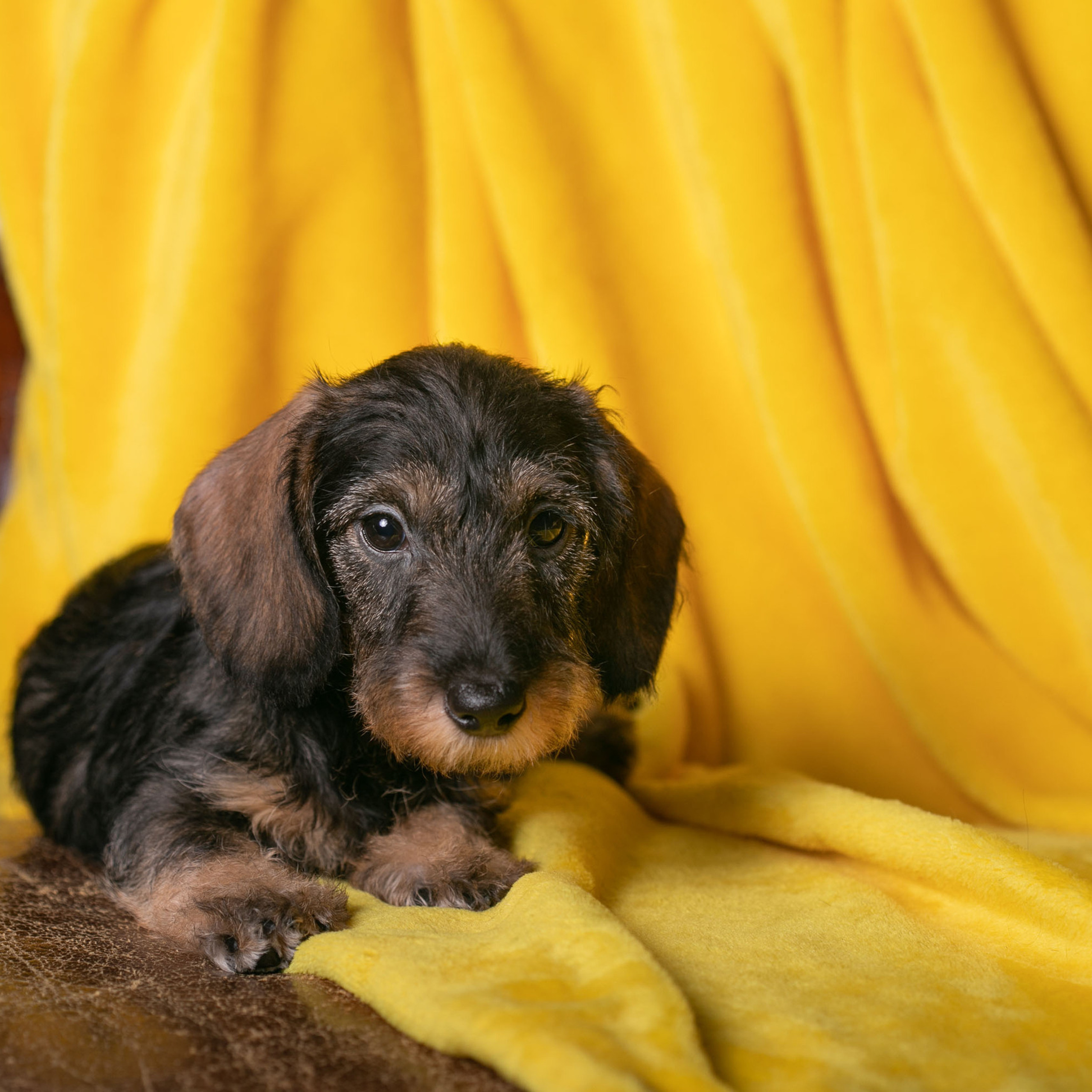 Отзывы. Профессиональный фотограф Чехарина Анна / pro photographer Chekharina