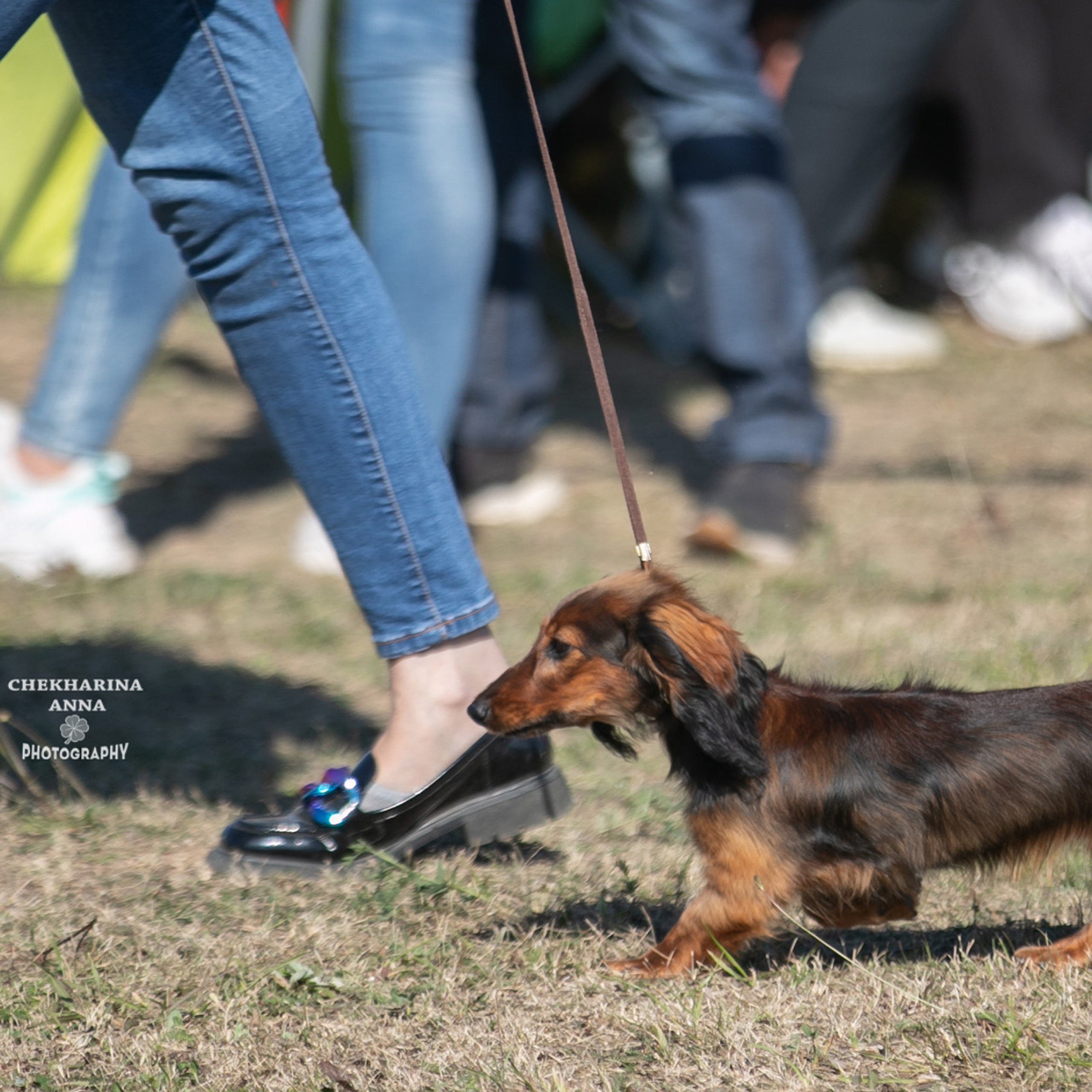 Отзывы. Профессиональный фотограф Чехарина Анна / pro photographer Chekharina