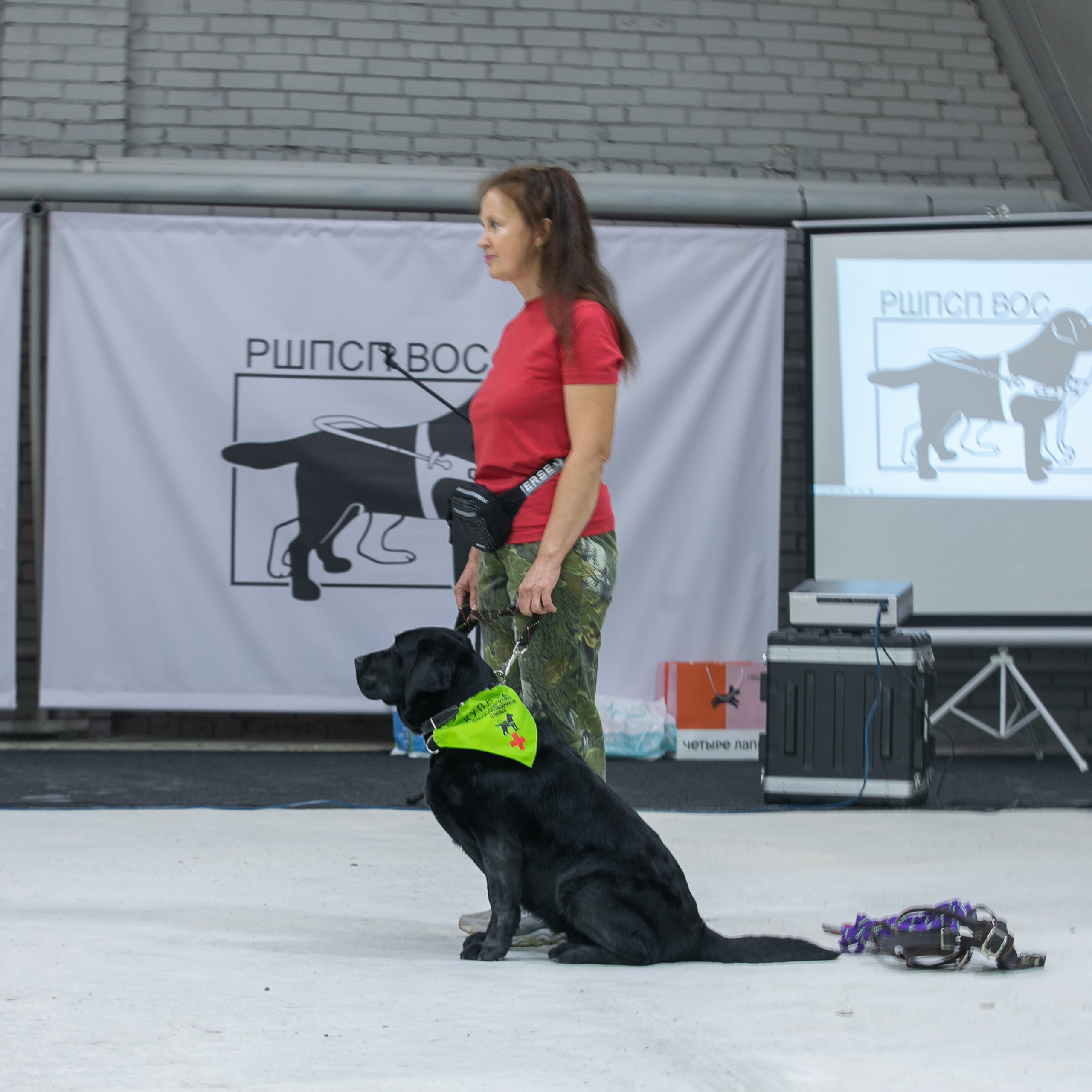 Отзывы. Профессиональный фотограф Чехарина Анна / pro photographer Chekharina