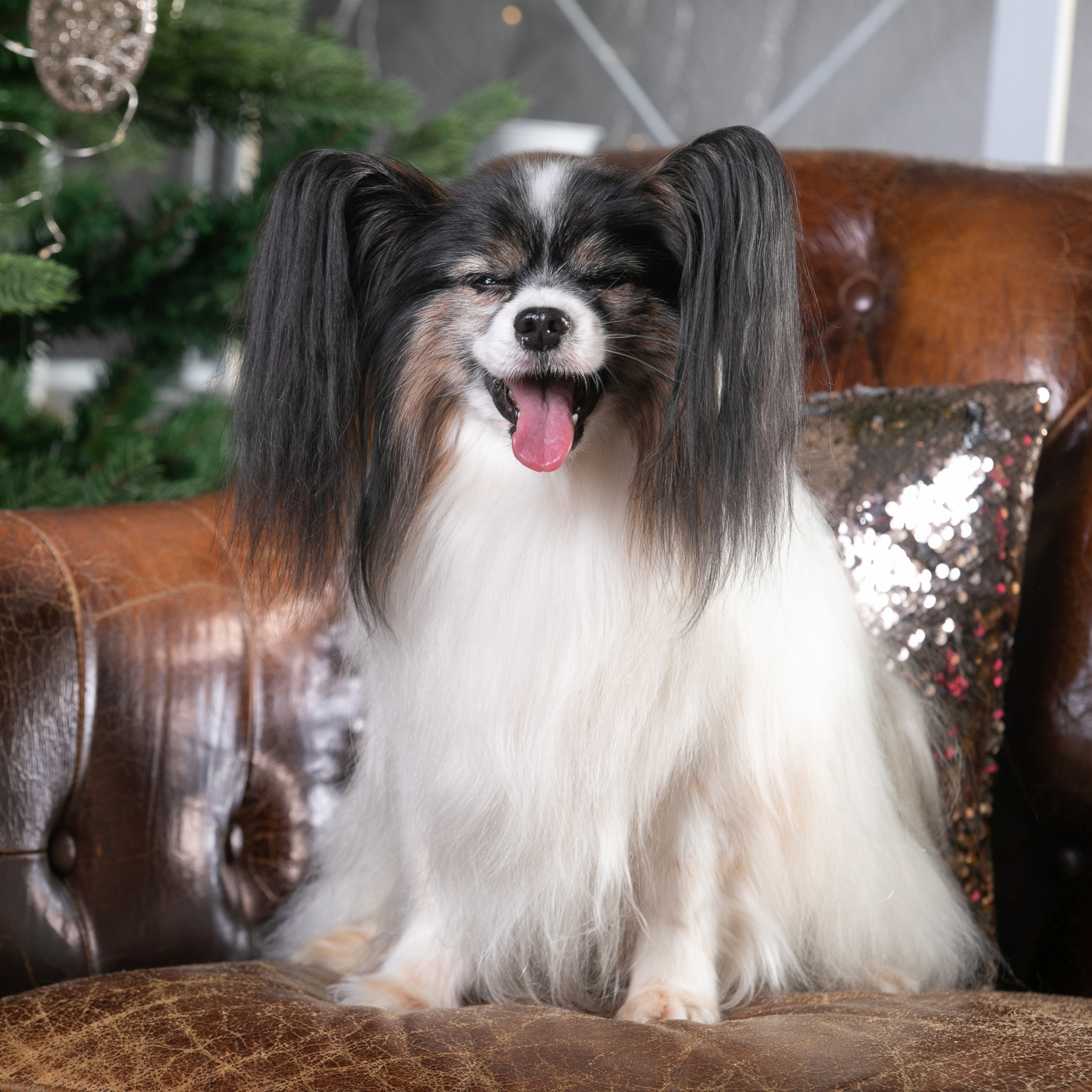 Отзывы. Профессиональный фотограф Чехарина Анна / pro photographer Chekharina