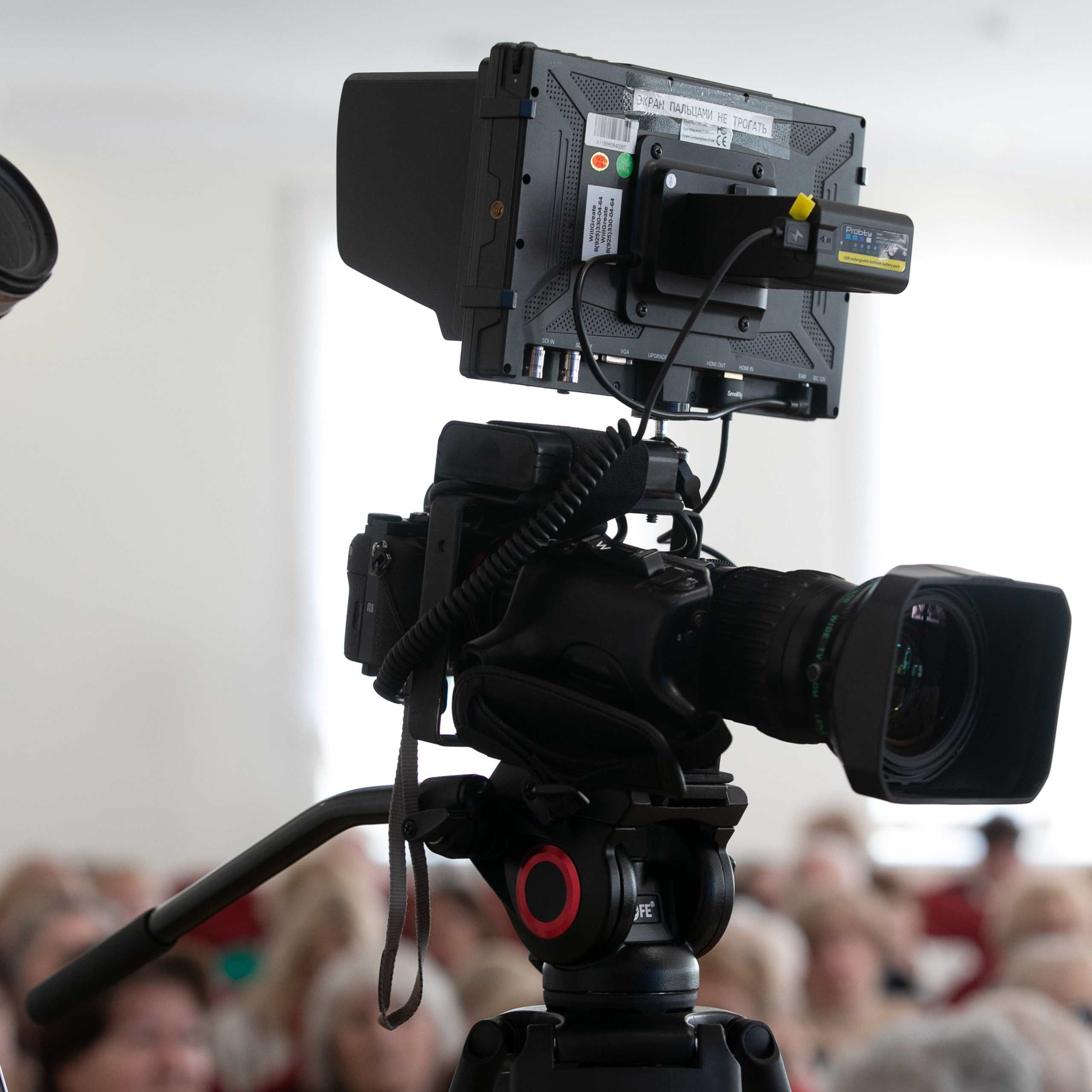 Отзывы. Профессиональный фотограф Чехарина Анна / pro photographer Chekharina