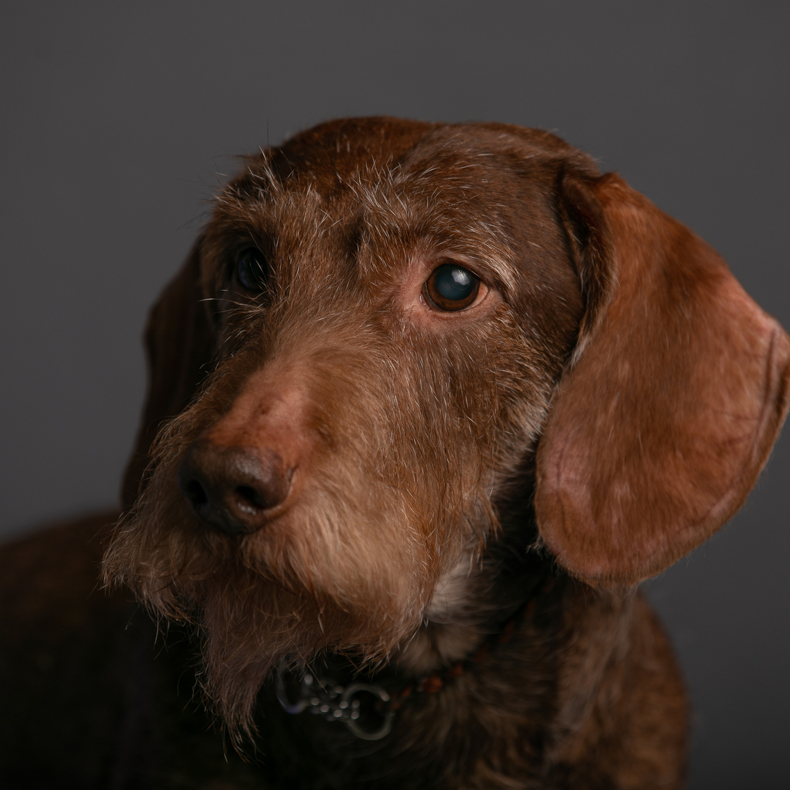 Отзывы. Профессиональный фотограф Чехарина Анна / pro photographer Chekharina