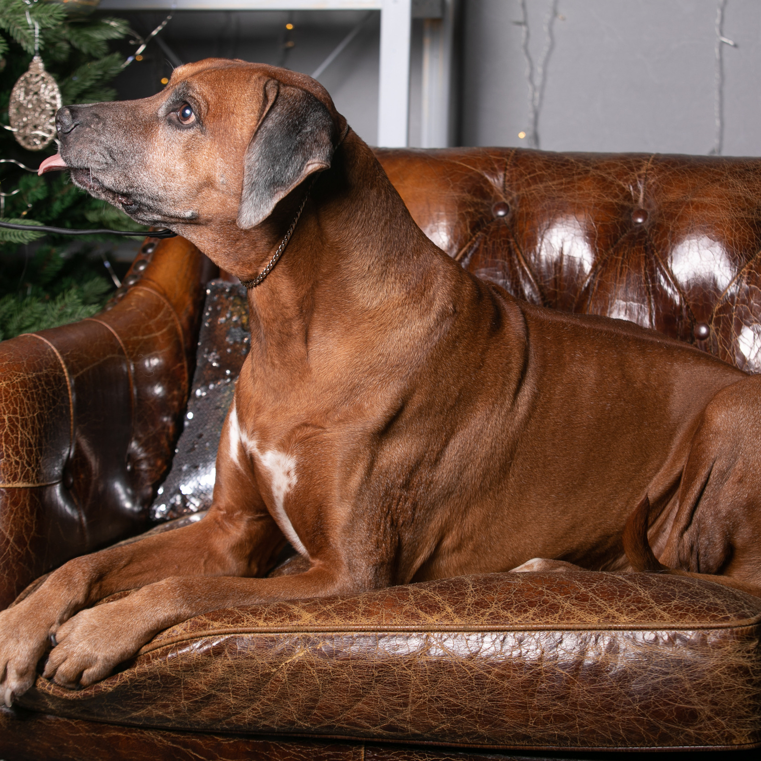 Отзывы. Профессиональный фотограф Чехарина Анна / pro photographer Chekharina