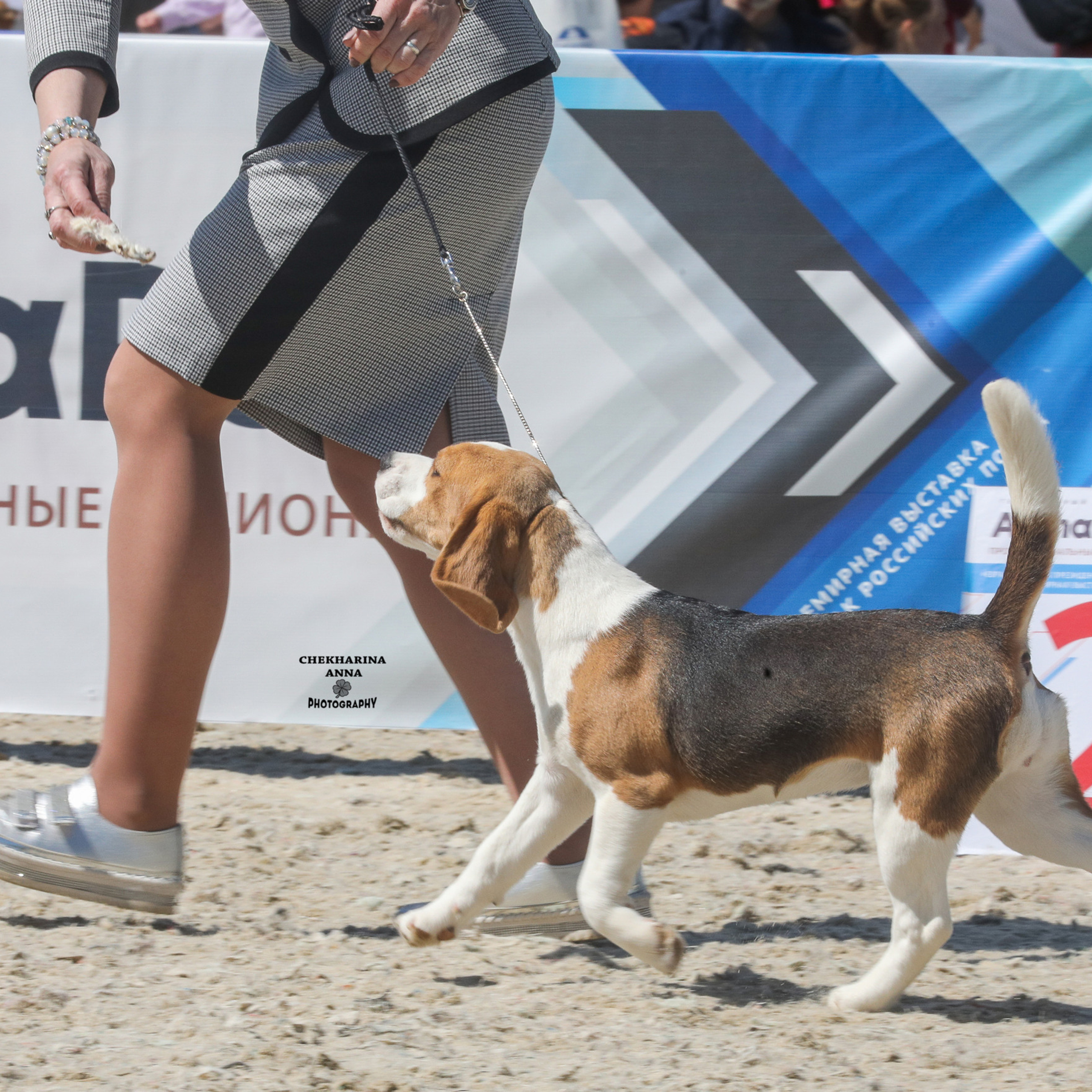 Отзывы. Профессиональный фотограф Чехарина Анна / pro photographer Chekharina