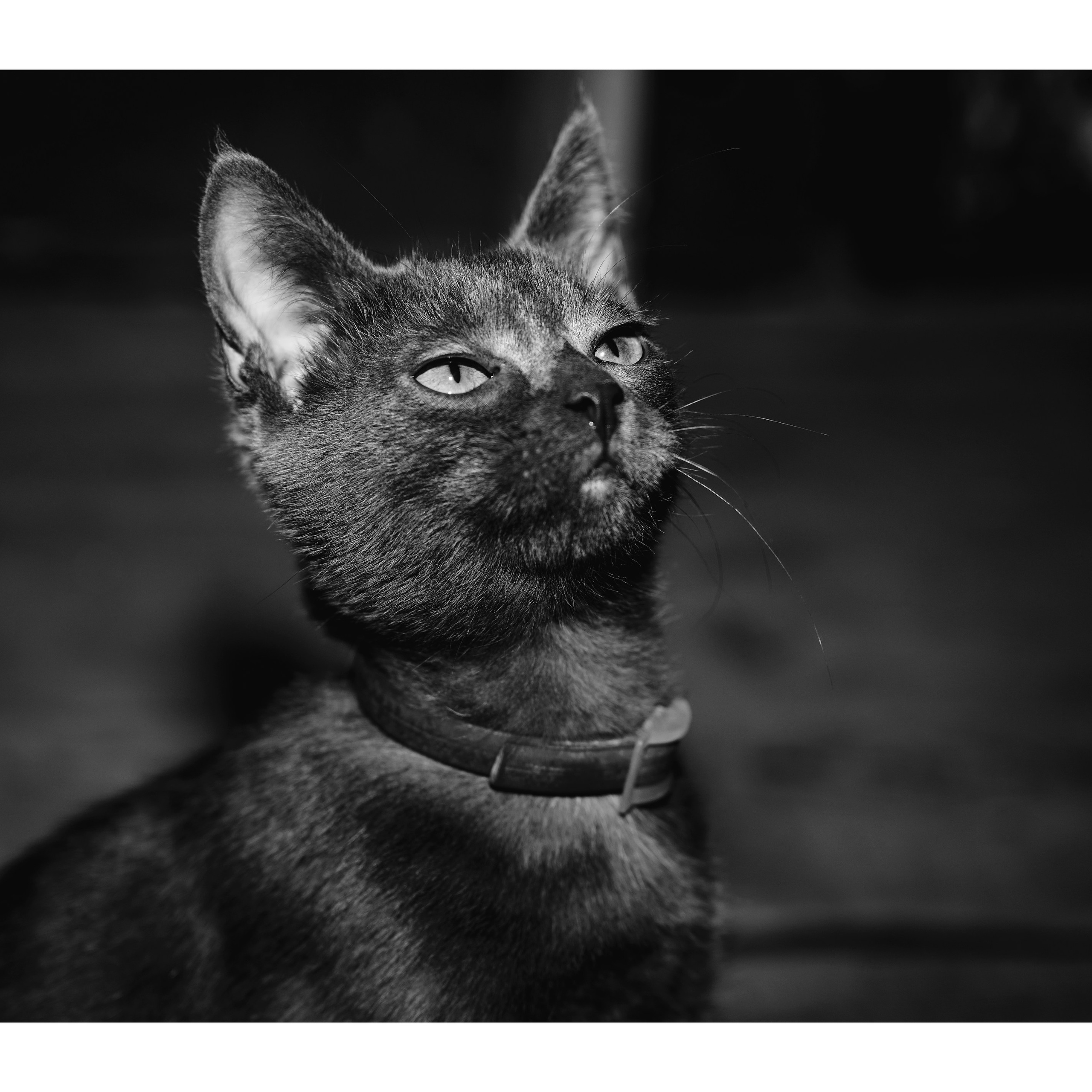 Фото для презентации фотопроекта «Территории». Фотопроект «Территории»