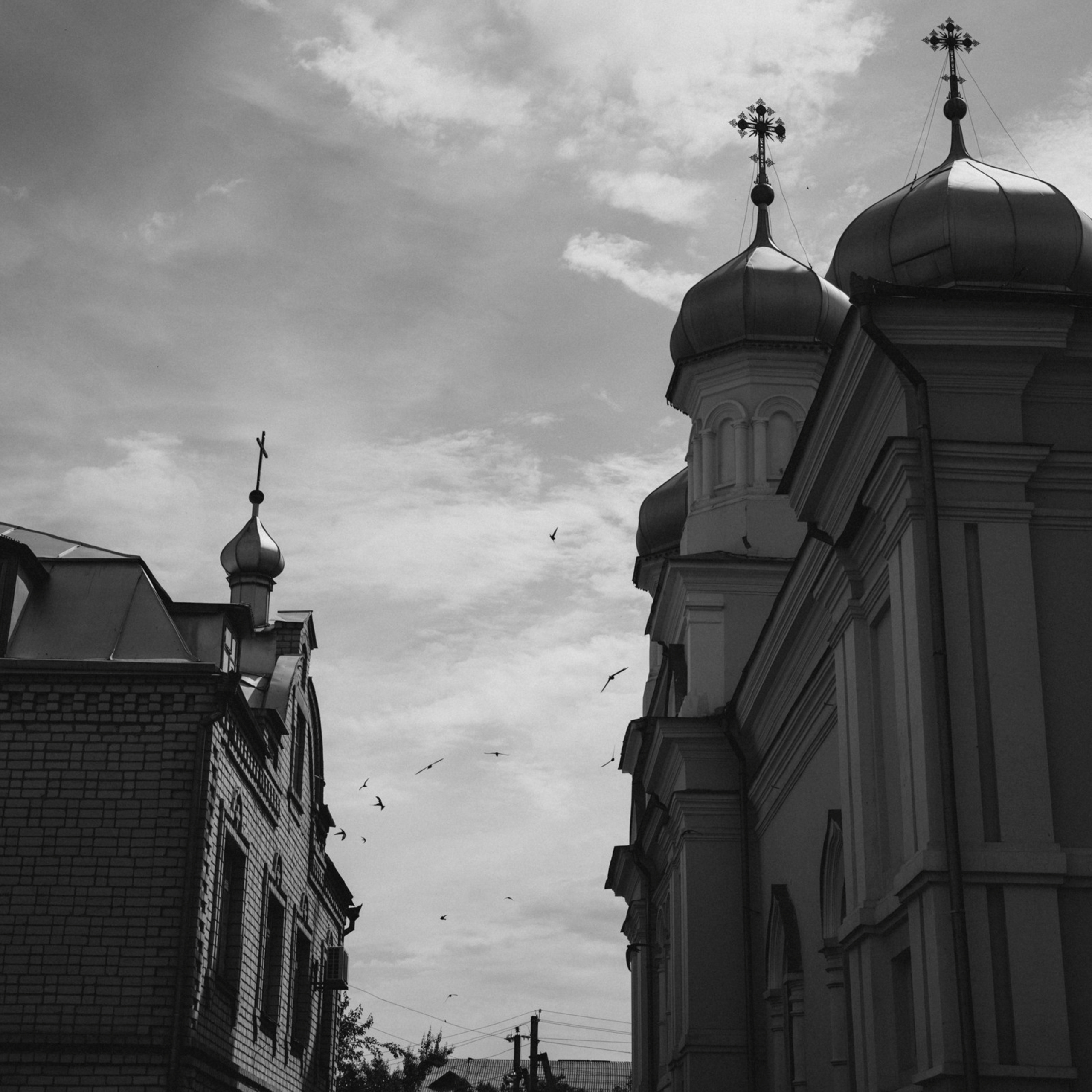 ОТЗЫВЫ. Семейный фотограф Оля Гладченко