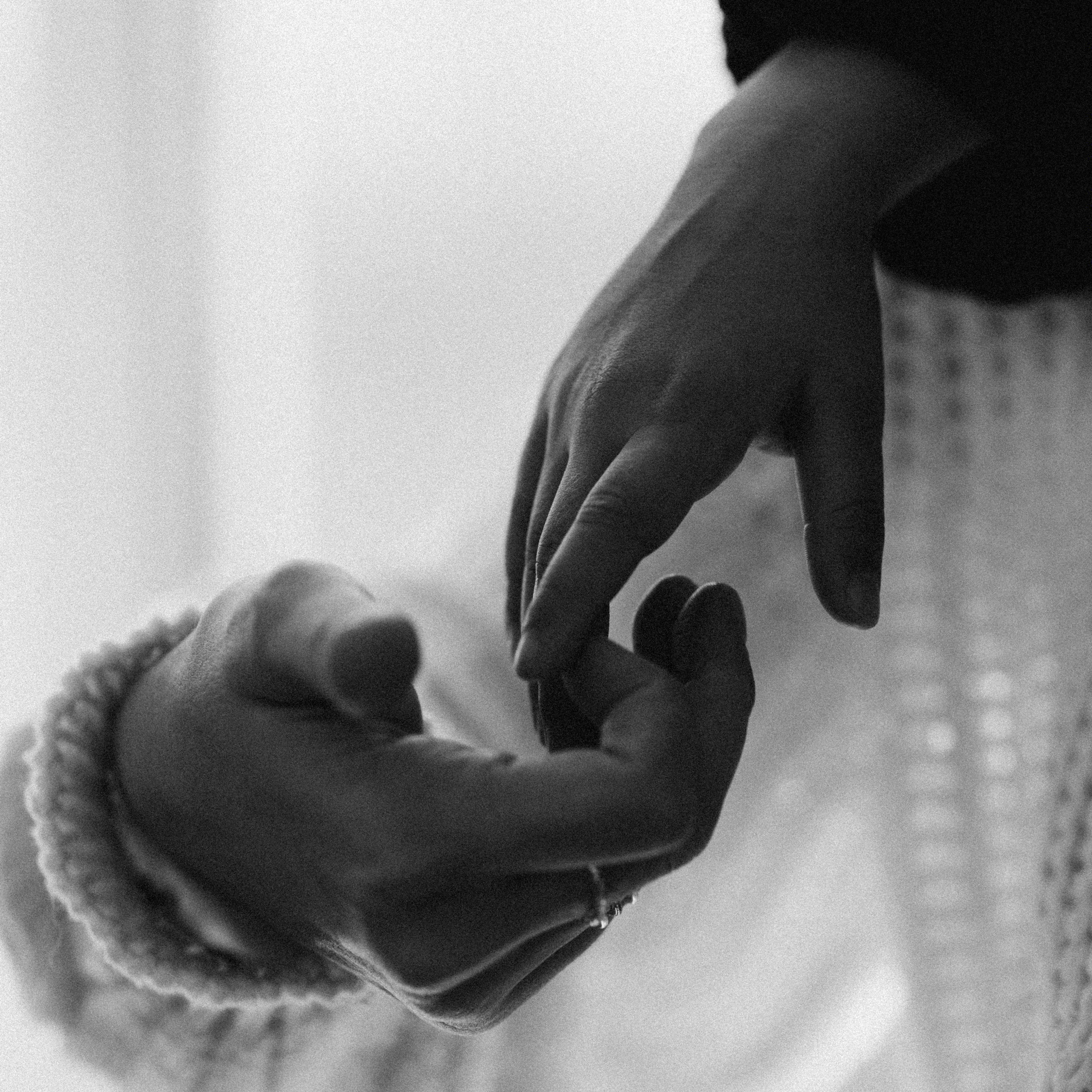 ОТЗЫВЫ. Семейный фотограф Оля Гладченко