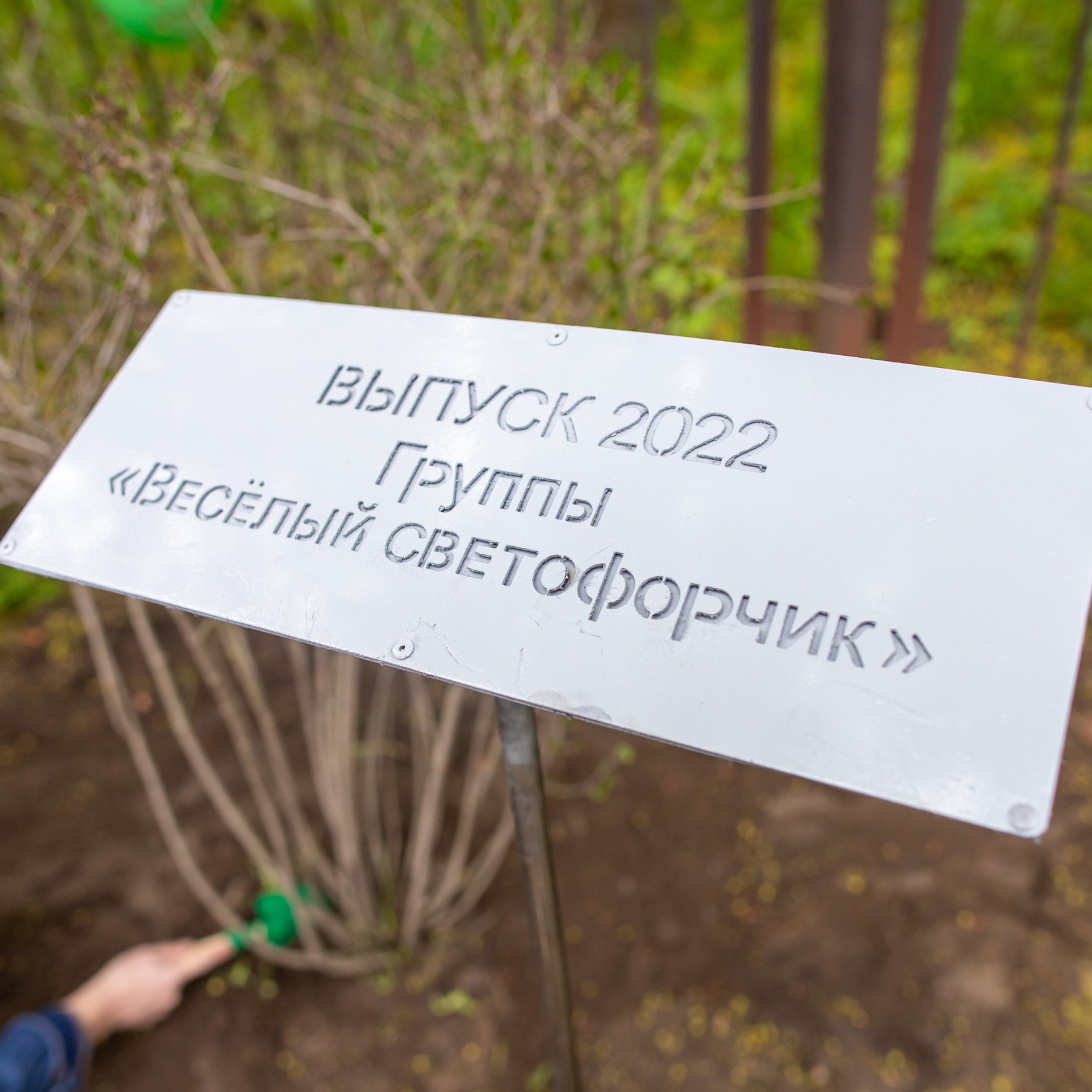 Отзывы. Фотограф и Видеограф в Санкт-Петербурге Алиса Шандрик