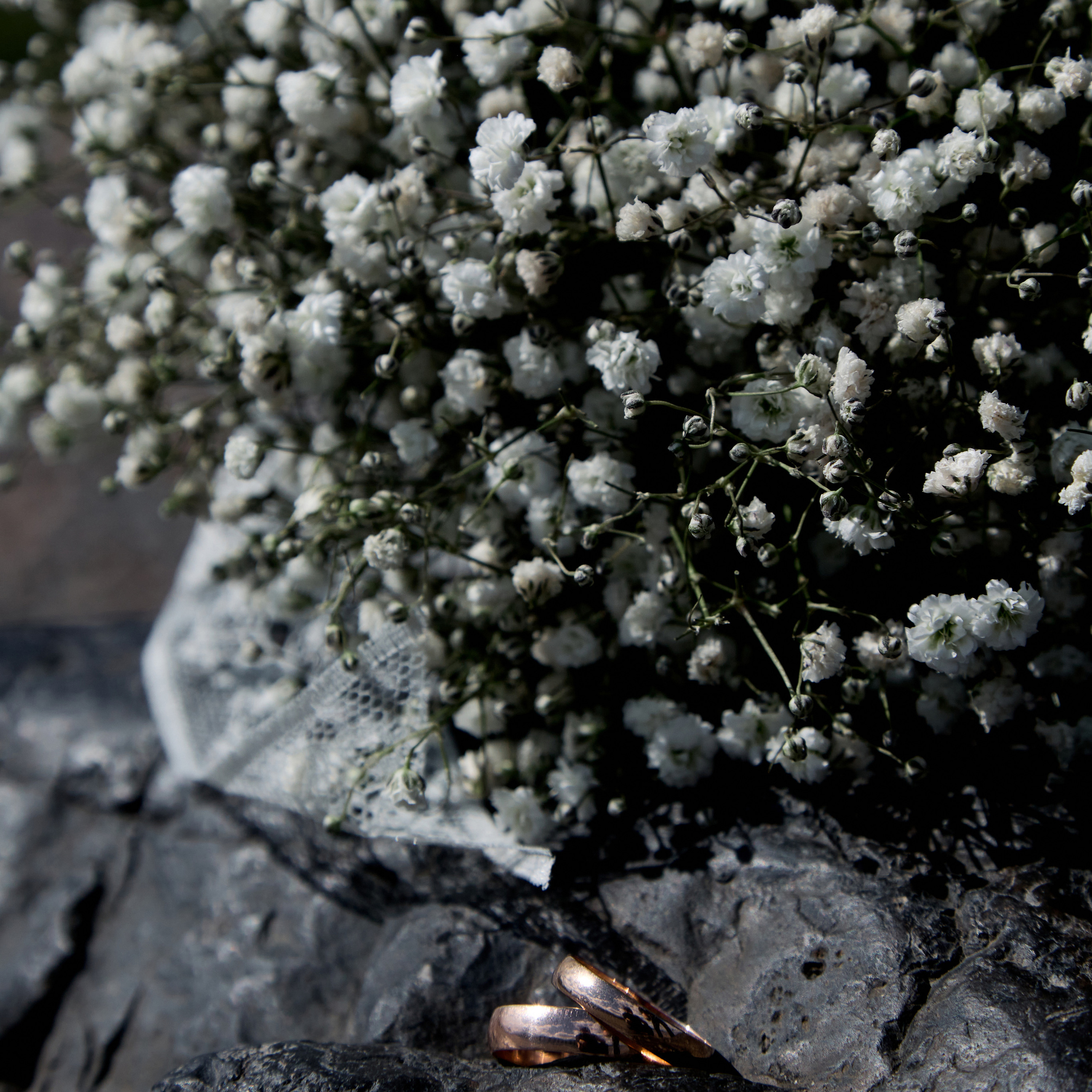 Дарья и Дмитрий