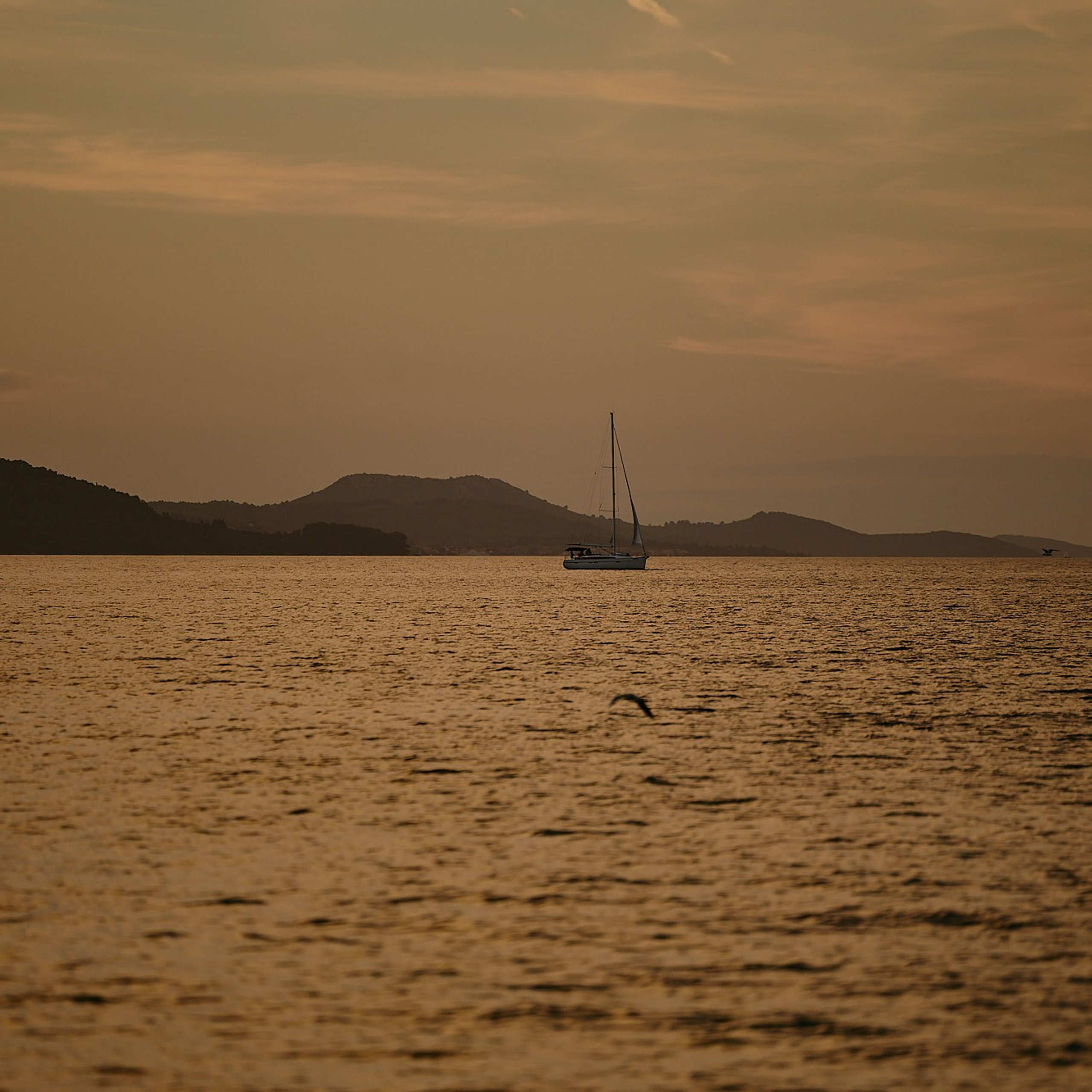 Practicum Business Regatta. Хорватия, октябрь 2024 г. Фотограф Григорий Сотников