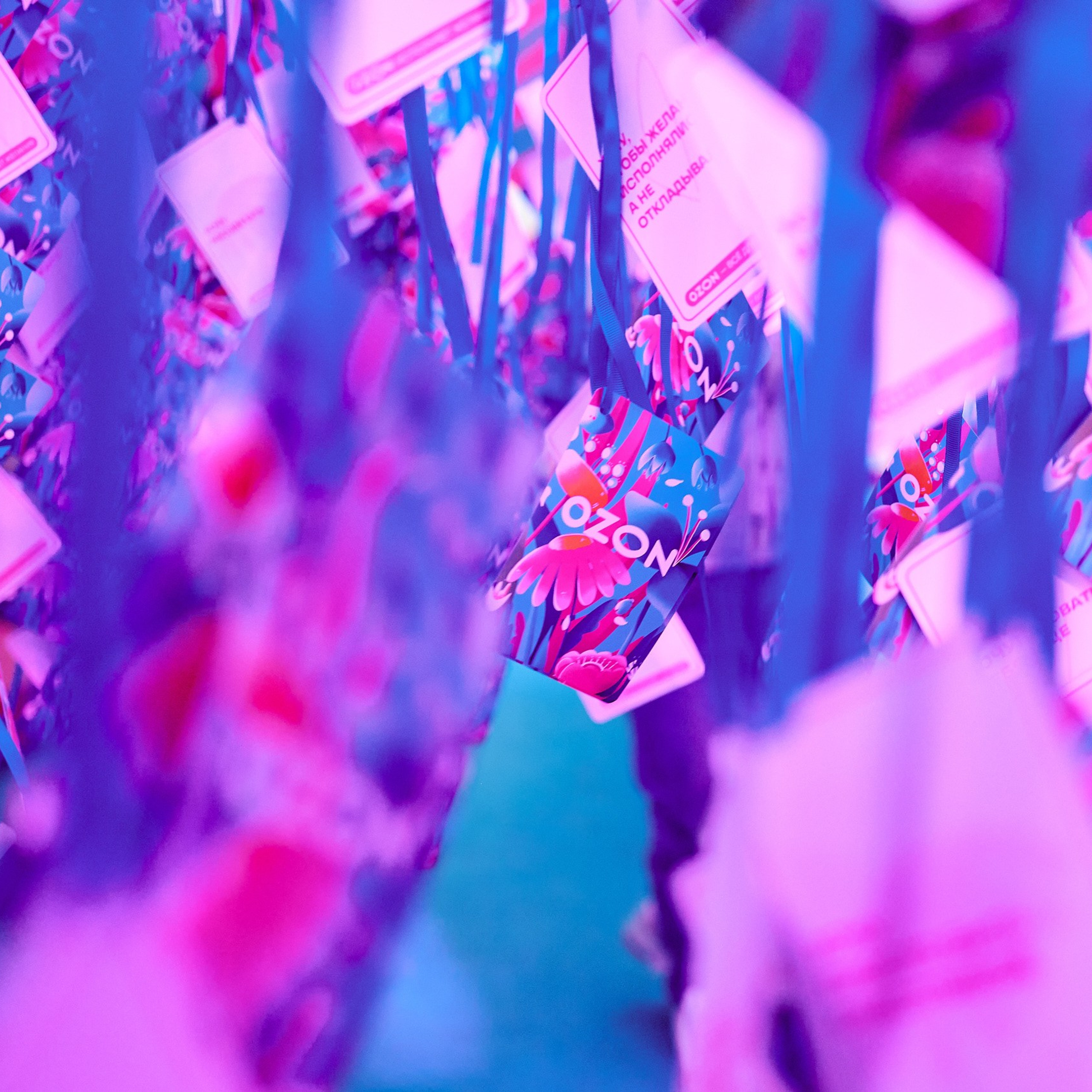 Стенд OZON на VK Fest. Фотограф Григорий Сотников