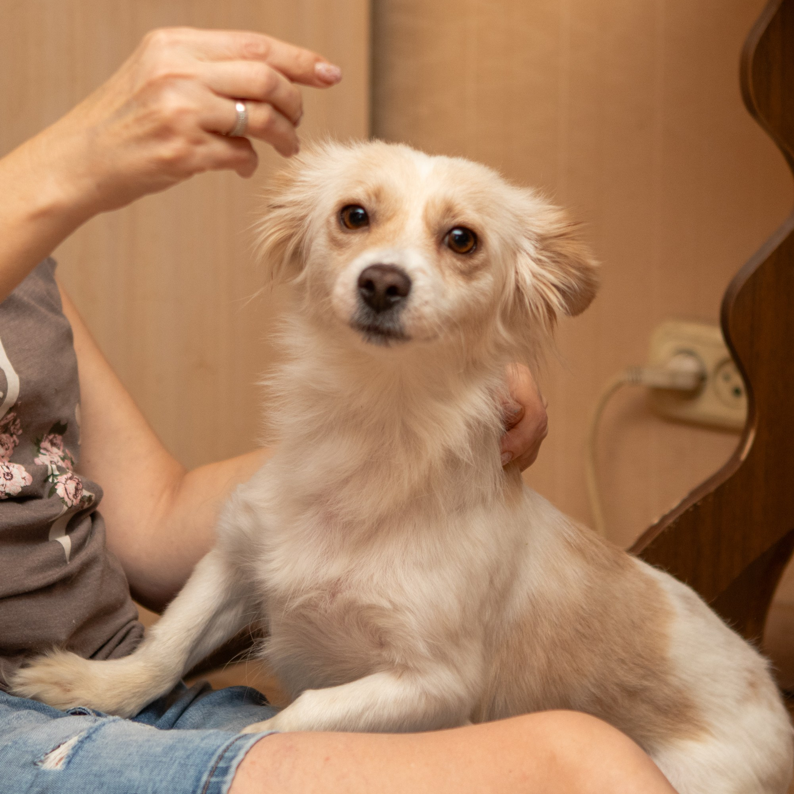 Отзывы. Фотограф-анималист Полина Колкова | Москва