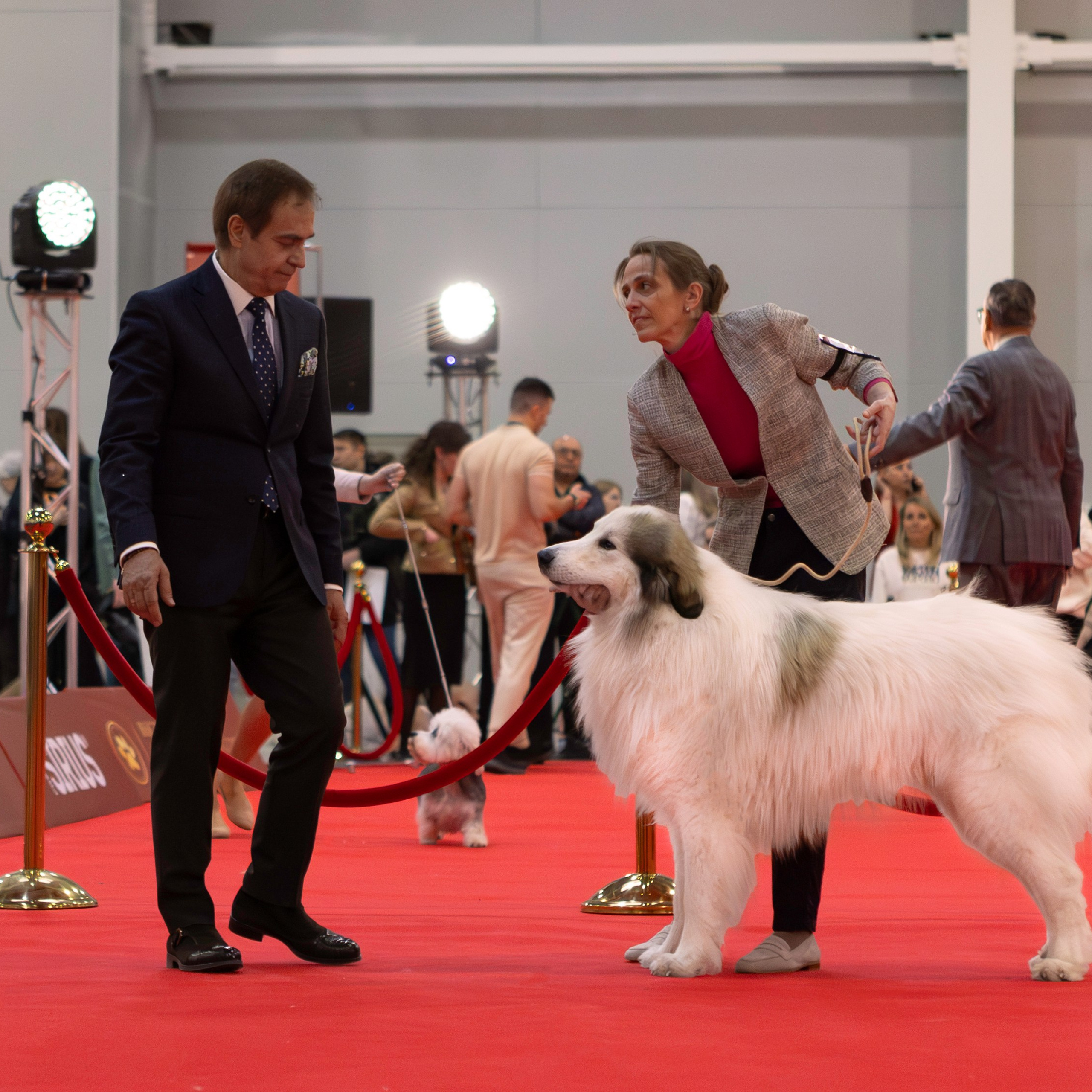 Отзывы. Фотограф-анималист Полина Колкова | Москва