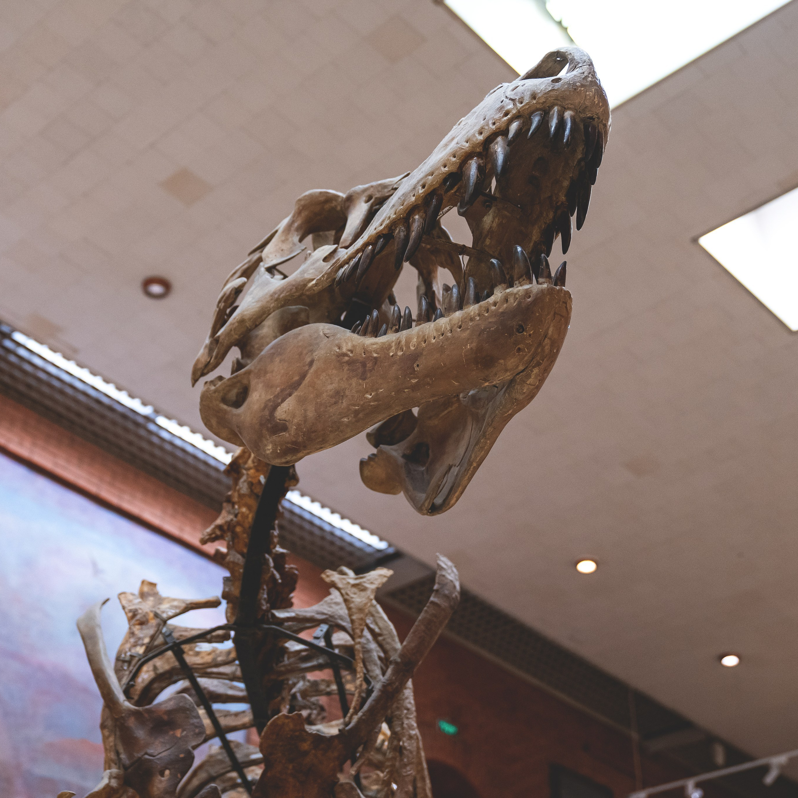 Отзывы. Фотограф Антон Волков  г. Дмитров