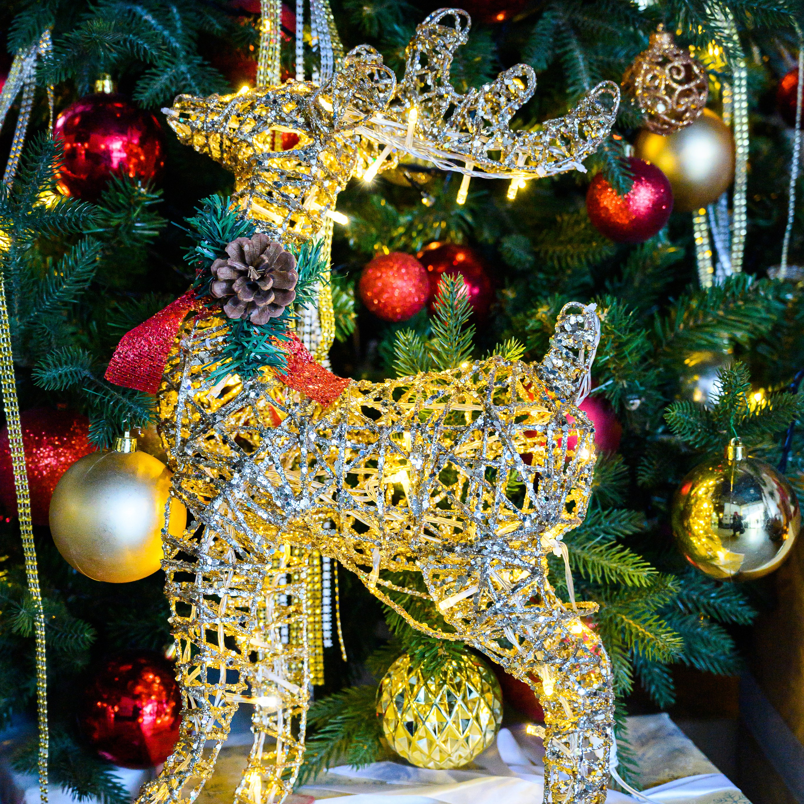 Корпоратив в Истре