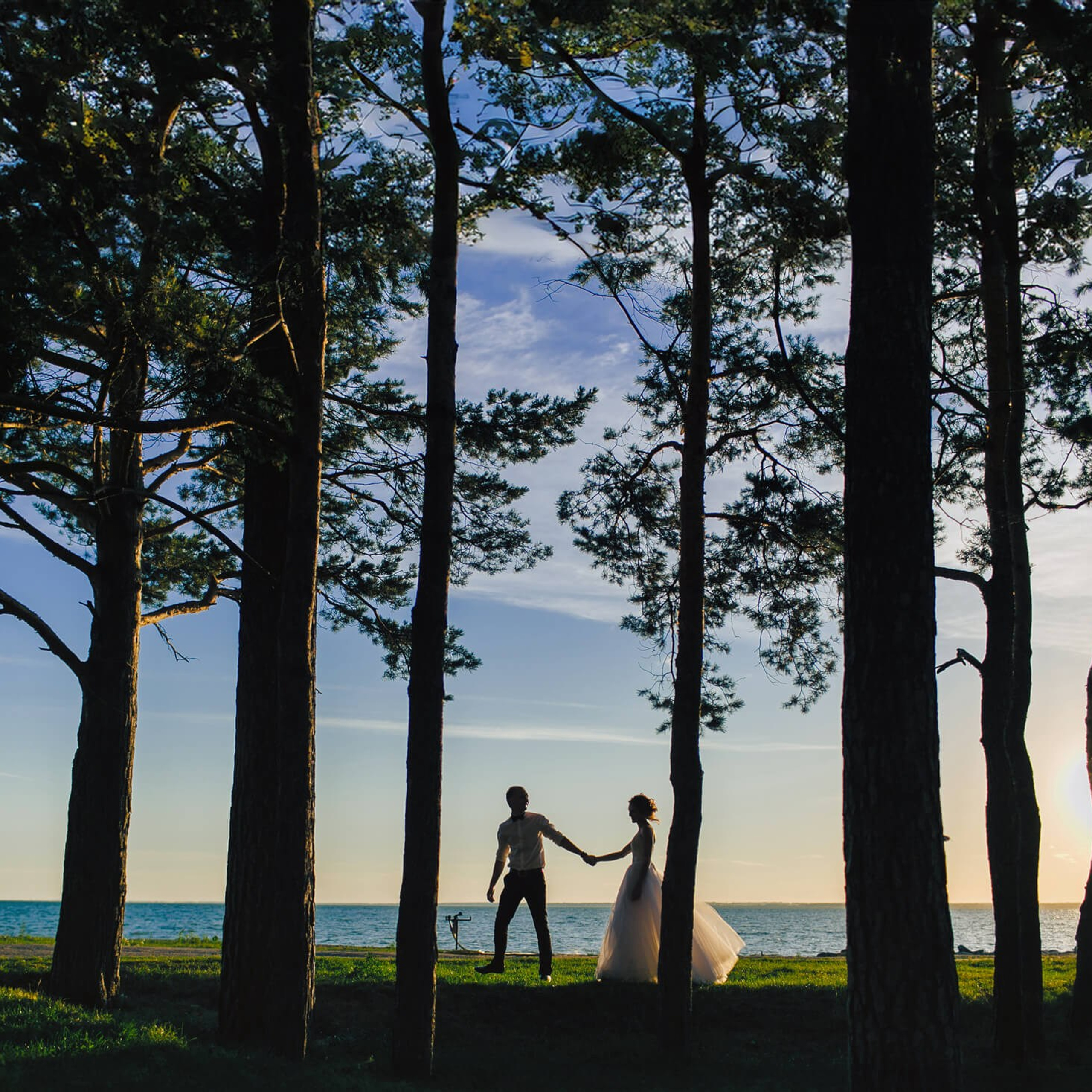 Свадебные фотосеты. Свадебные фотограф и видеограф в Новосибирске — БОС