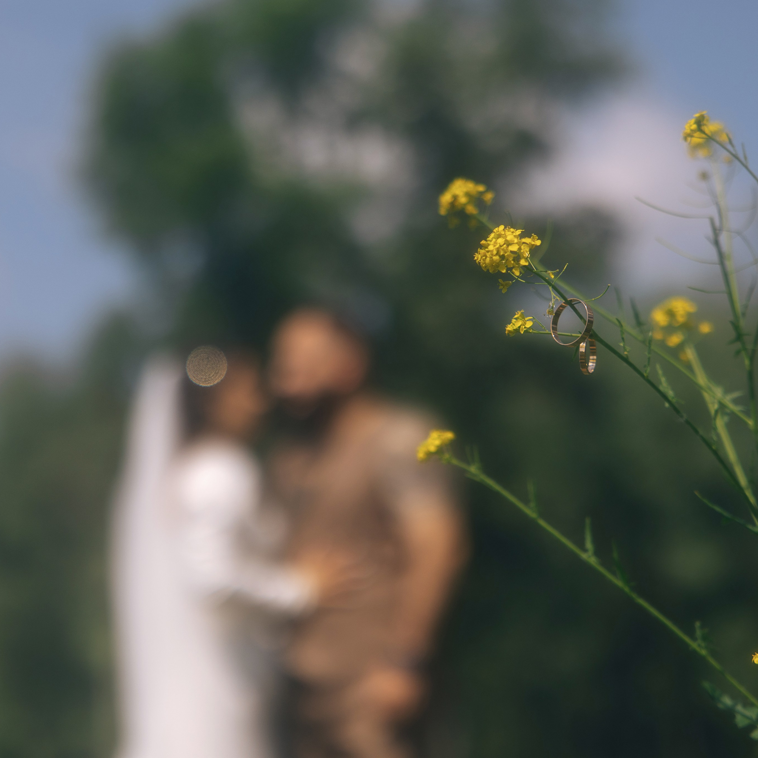 Пара из Голливуда. Свадебные фотограф и видеограф в Новосибирске — БОС