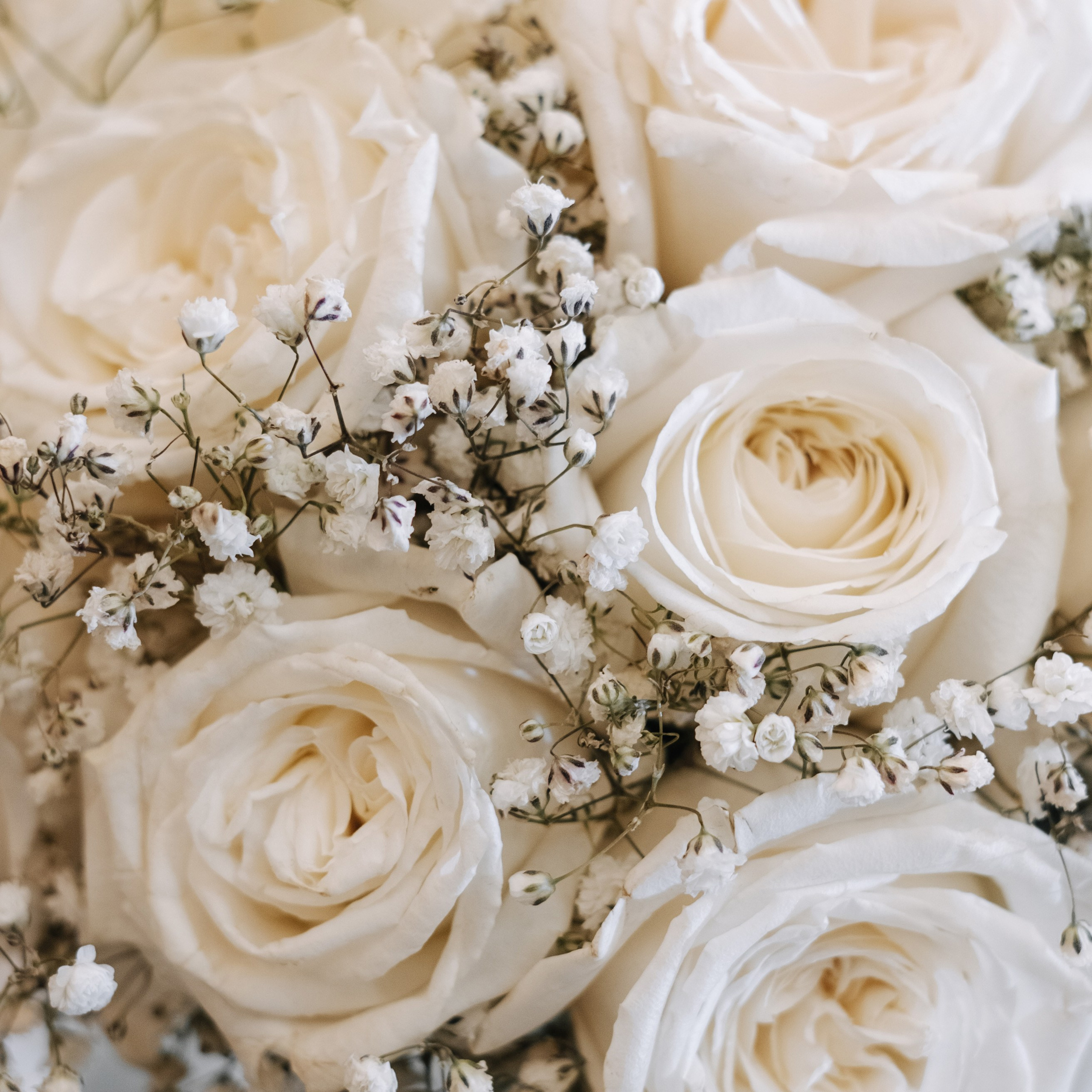 Чумачечие и Красивые. Свадебные фотограф и видеограф в Новосибирске — БОС