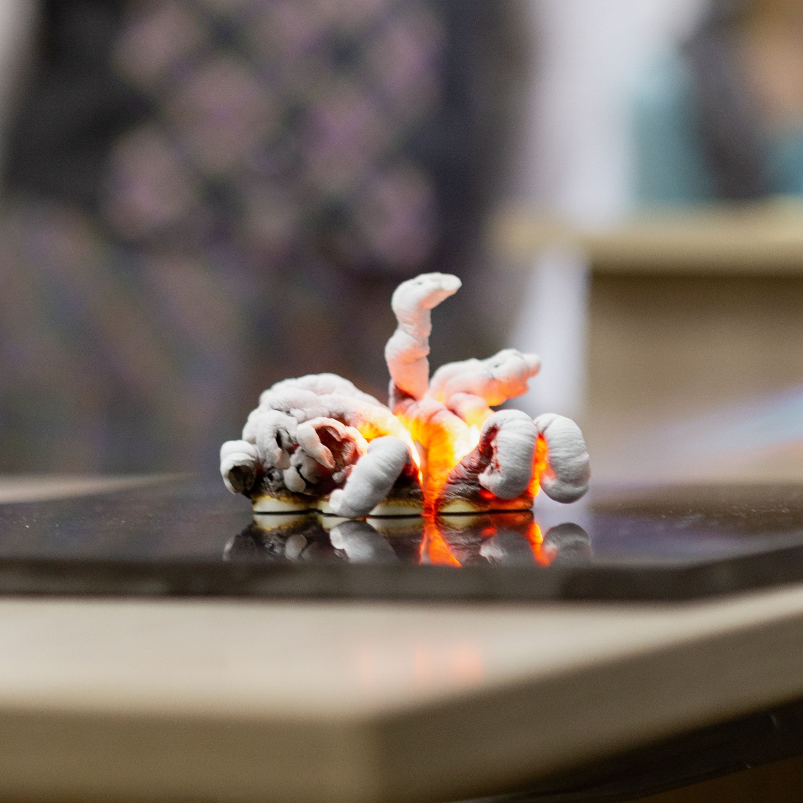 Отзывы. Портретный фотограф в Москве Полина Онода