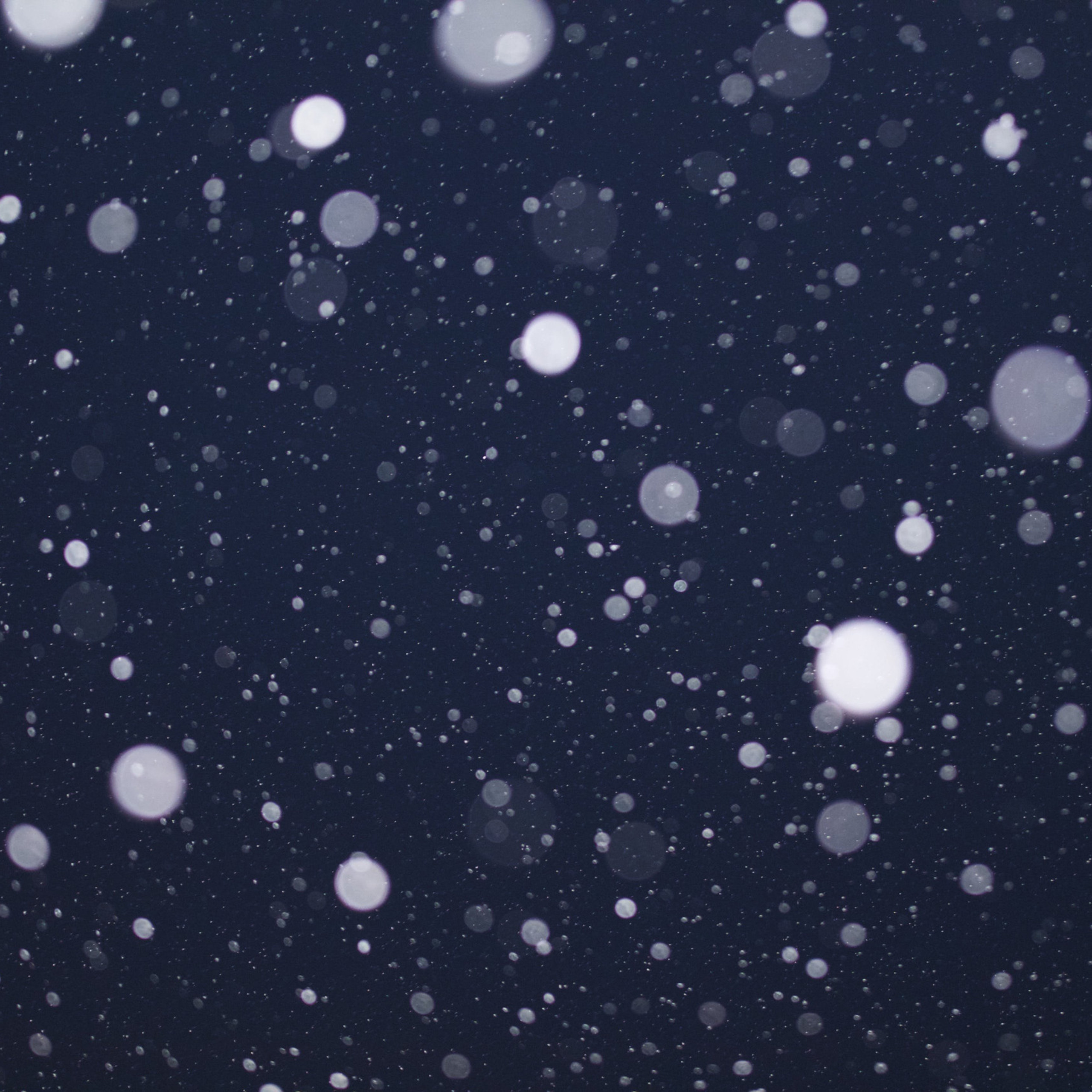 Отзывы. Детский и семейный фотограф Нижнего Новгорода и Москвы Олеся Ратникова