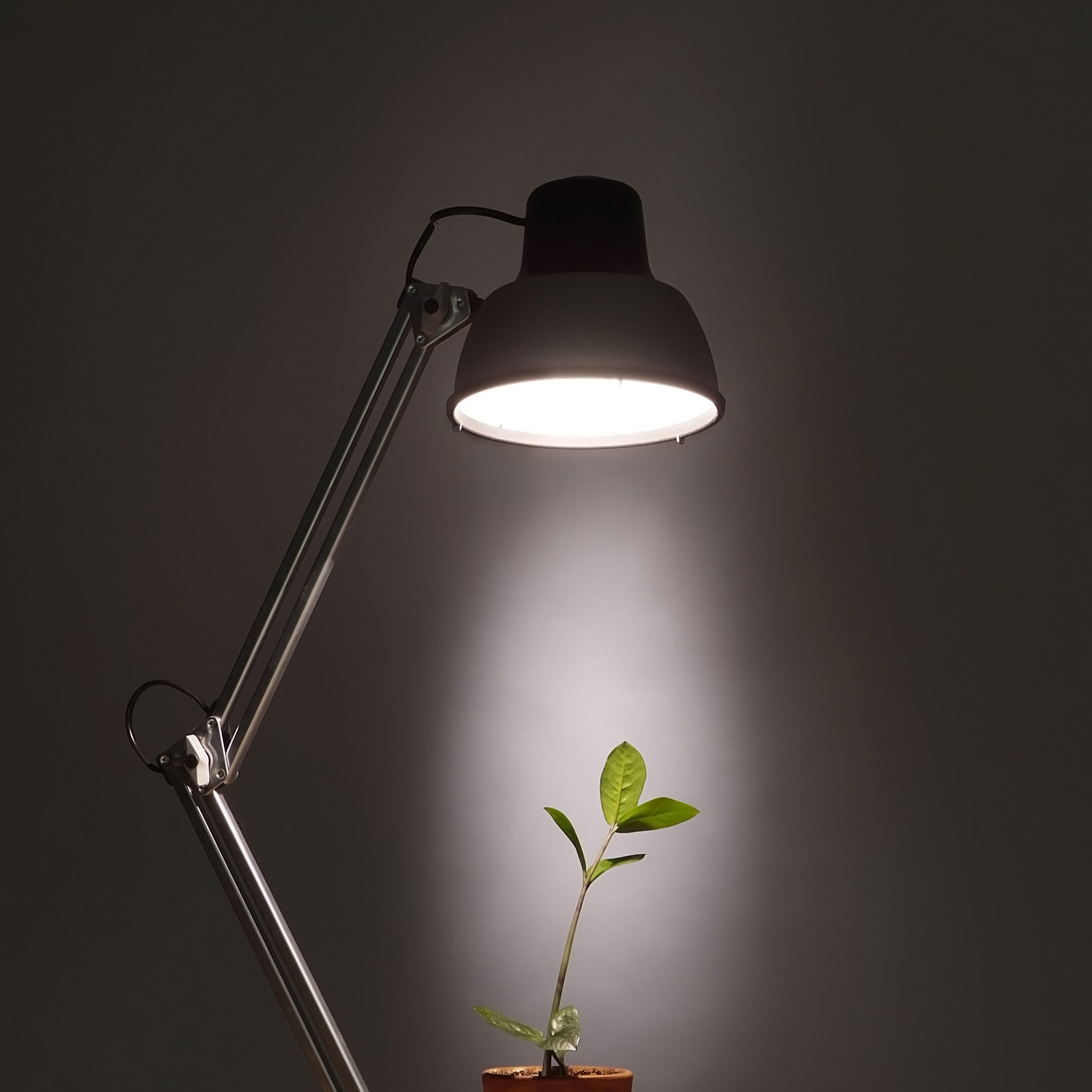 съемки для рекламной компании фирмы "БЮРОКРАТ",продается,купить, ПРЕДМЕТНЫЙ ФОТОГРАФ МОСКВА, съёмка стекла, foto.ru, photo, дизайн студии, сделать фото, реклама фото, имиджевая съемка