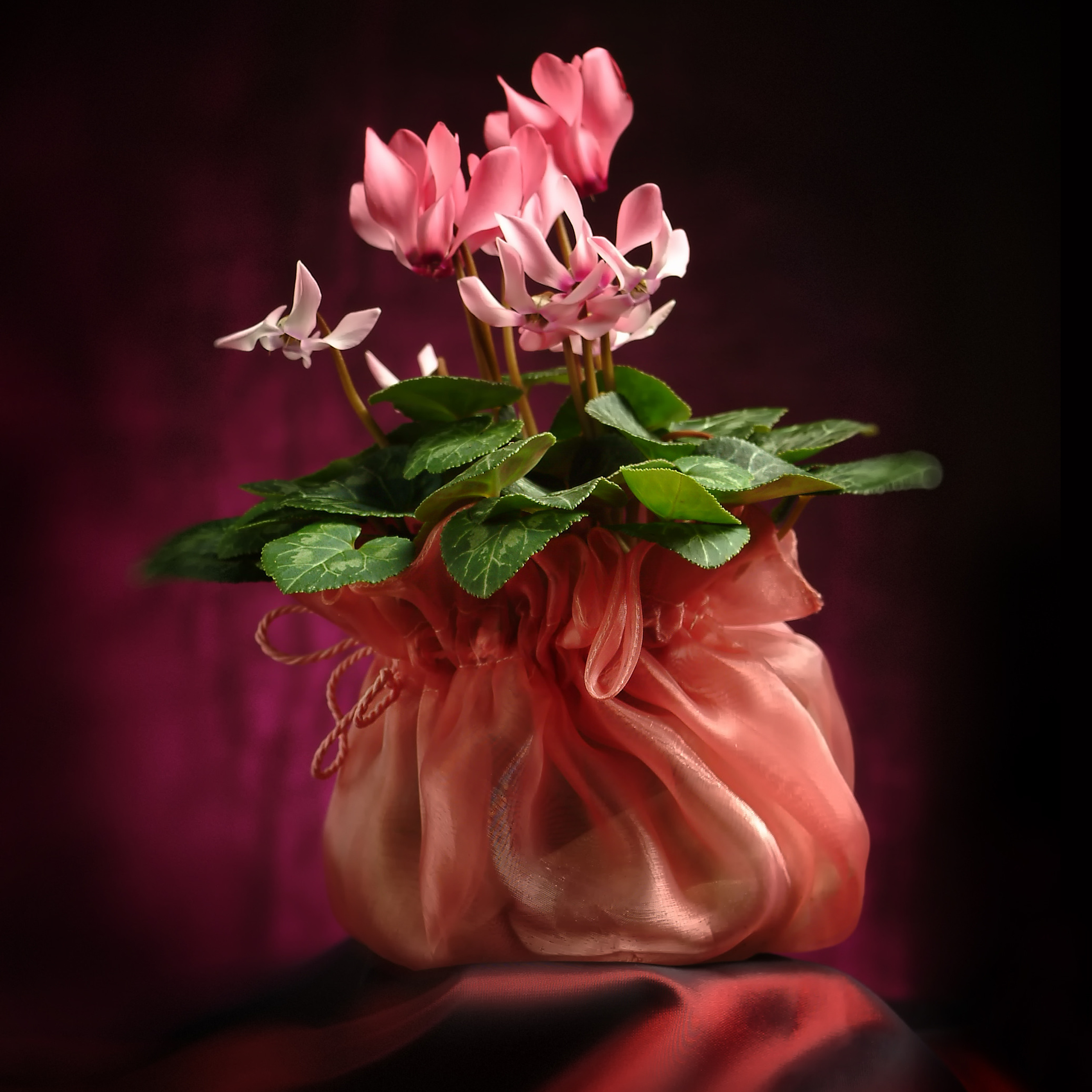 КАЛЕНДАРЬ ДЛЯ ФЛОРИСТОВ, съёмка цветов, заставка для каталога текстильной фирмы, СЪЕМКА ПРЕДМЕТОВ ДЛЯ СОЦСЕТЕЙ, ПРЕДМЕТНЫЙ ФОТОГРАФ МОСКВА, съёмка стекла, съёмка текстиля, pinterest, реклама фото