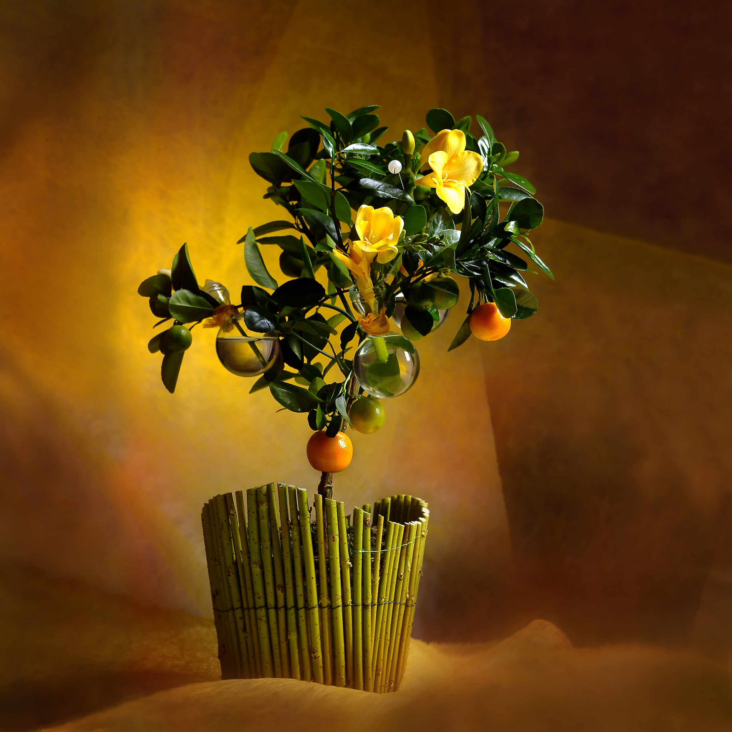 КАЛЕНДАРЬ ДЛЯ ФЛОРИСТОВ, съёмка цветов, заставка для каталога текстильной фирмы, СЪЕМКА ПРЕДМЕТОВ ДЛЯ СОЦСЕТЕЙ, ПРЕДМЕТНЫЙ ФОТОГРАФ МОСКВА, съёмка стекла, съёмка текстиля, foto.ru, photo, дизайн студии, сделать фото, pinterest, реклама фото