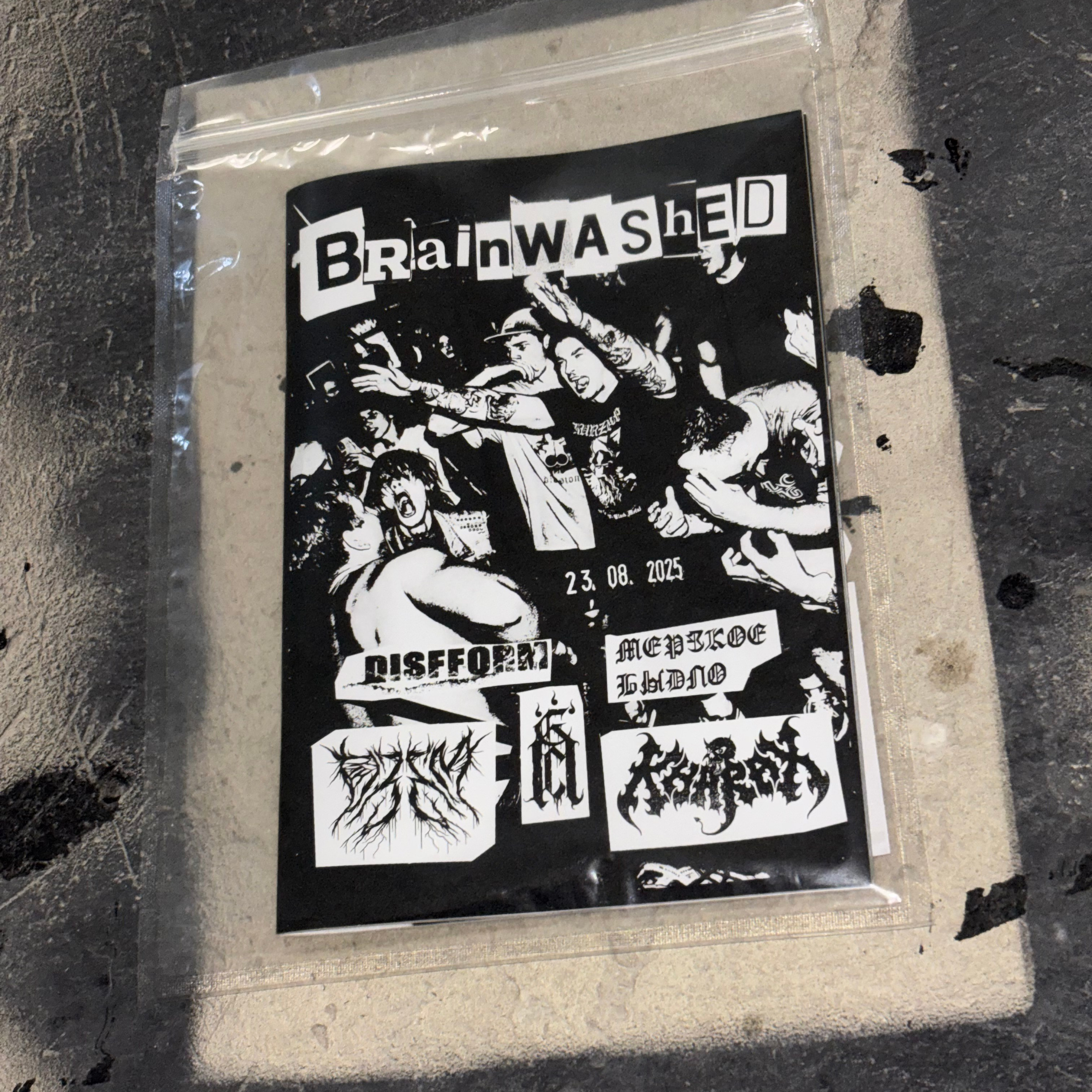Зин BRAINWASHED