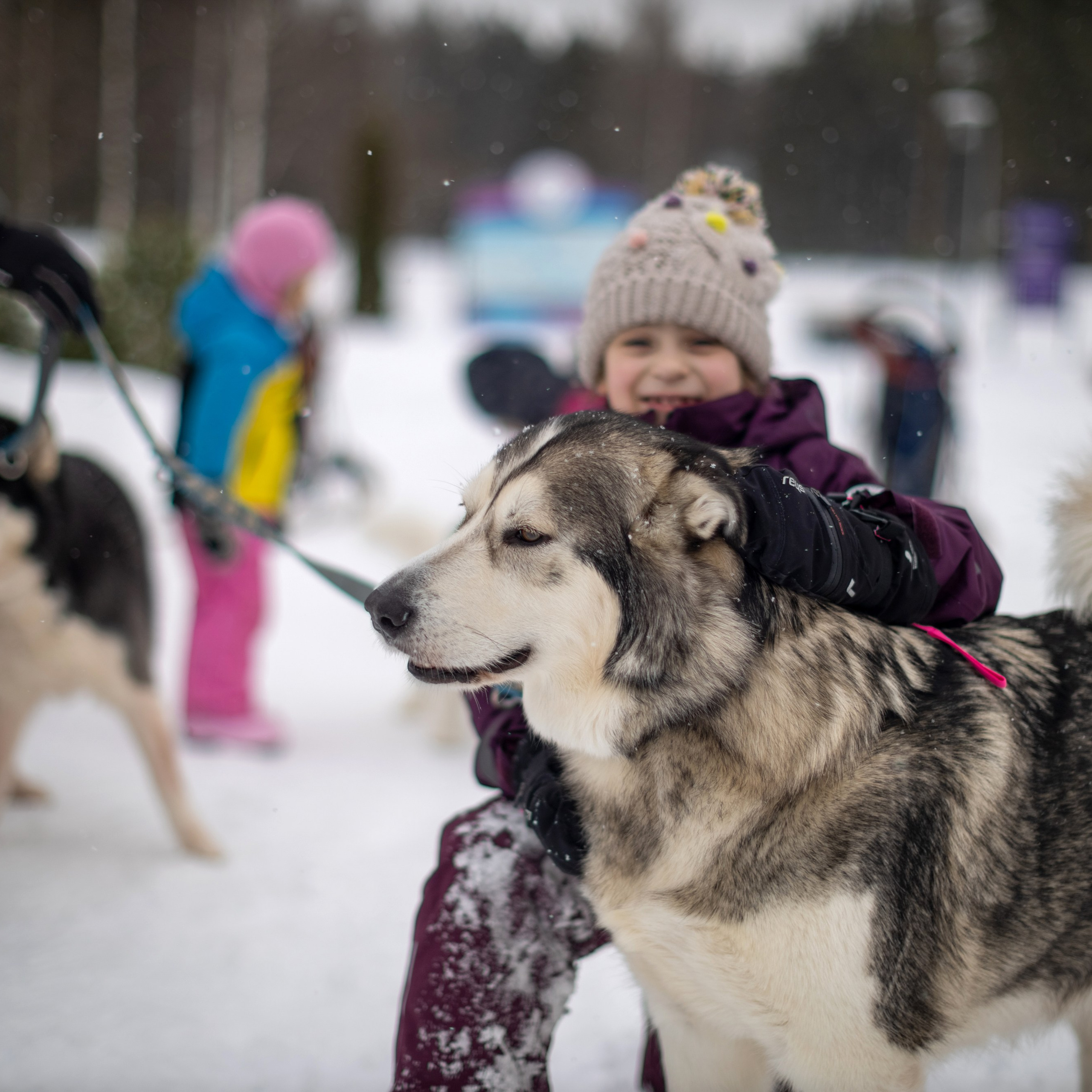 Отзывы. Фотограф Ольга Безобразова Завидово Москва Тверь
