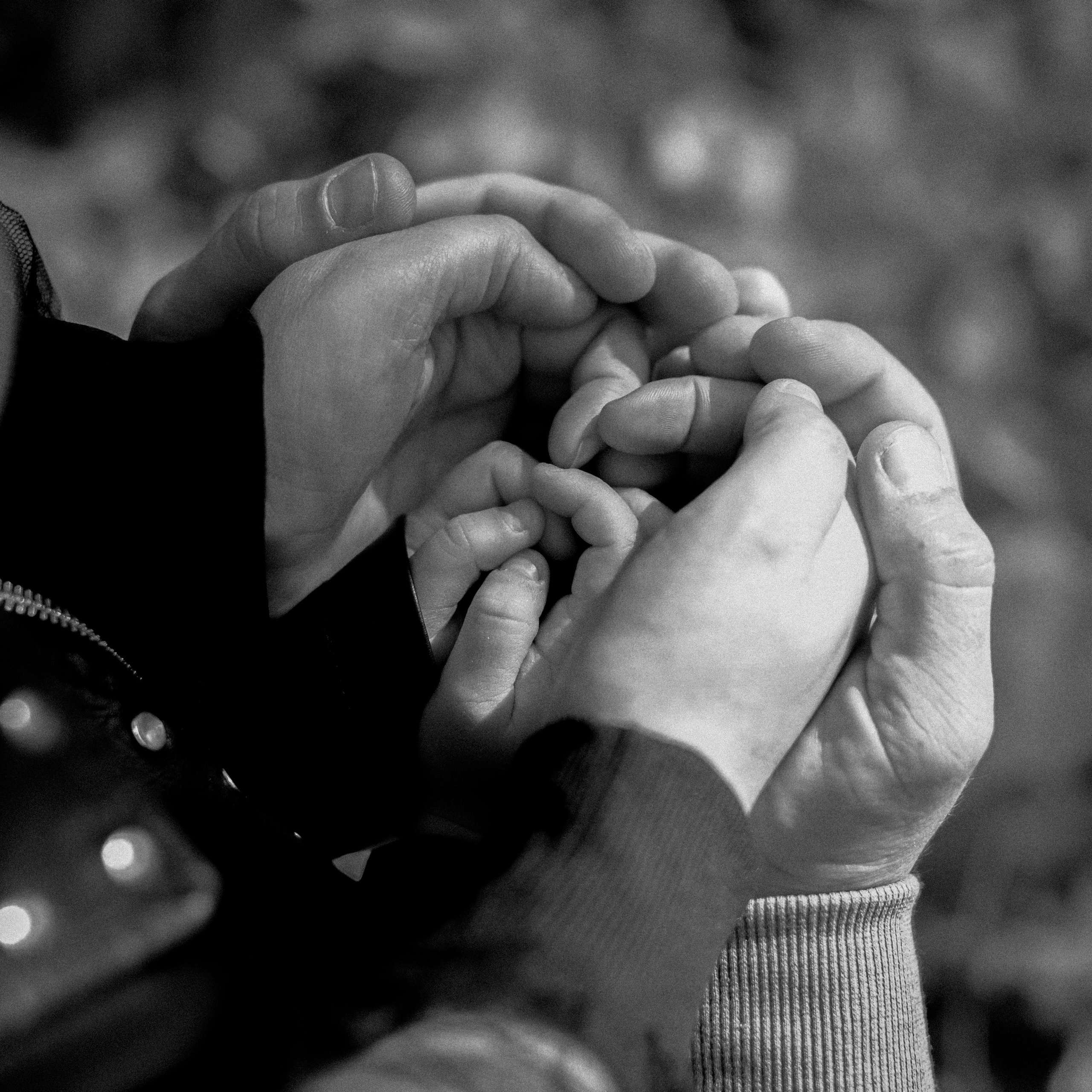 Осенняя прогулка