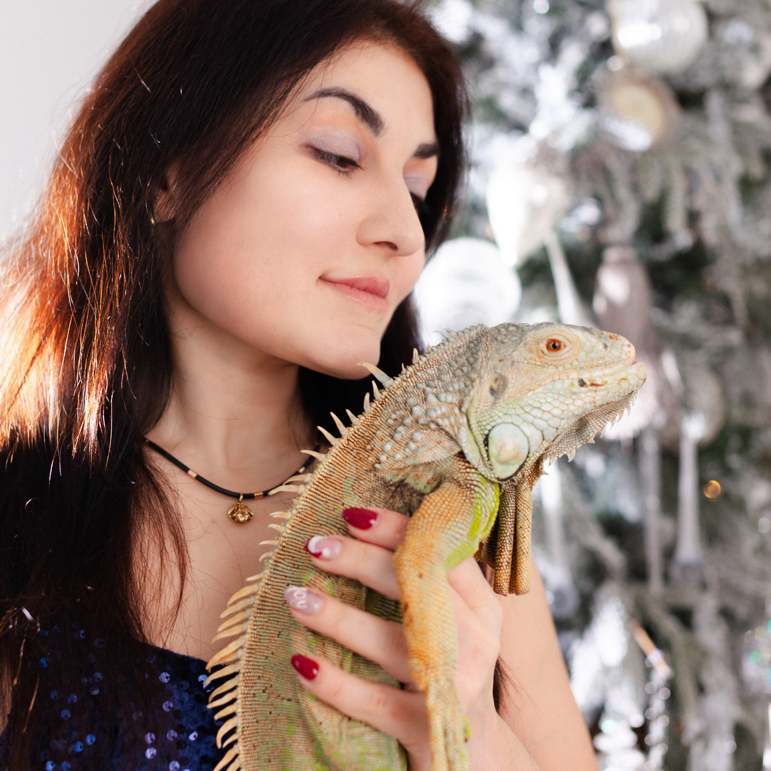 Новый Год Дракона