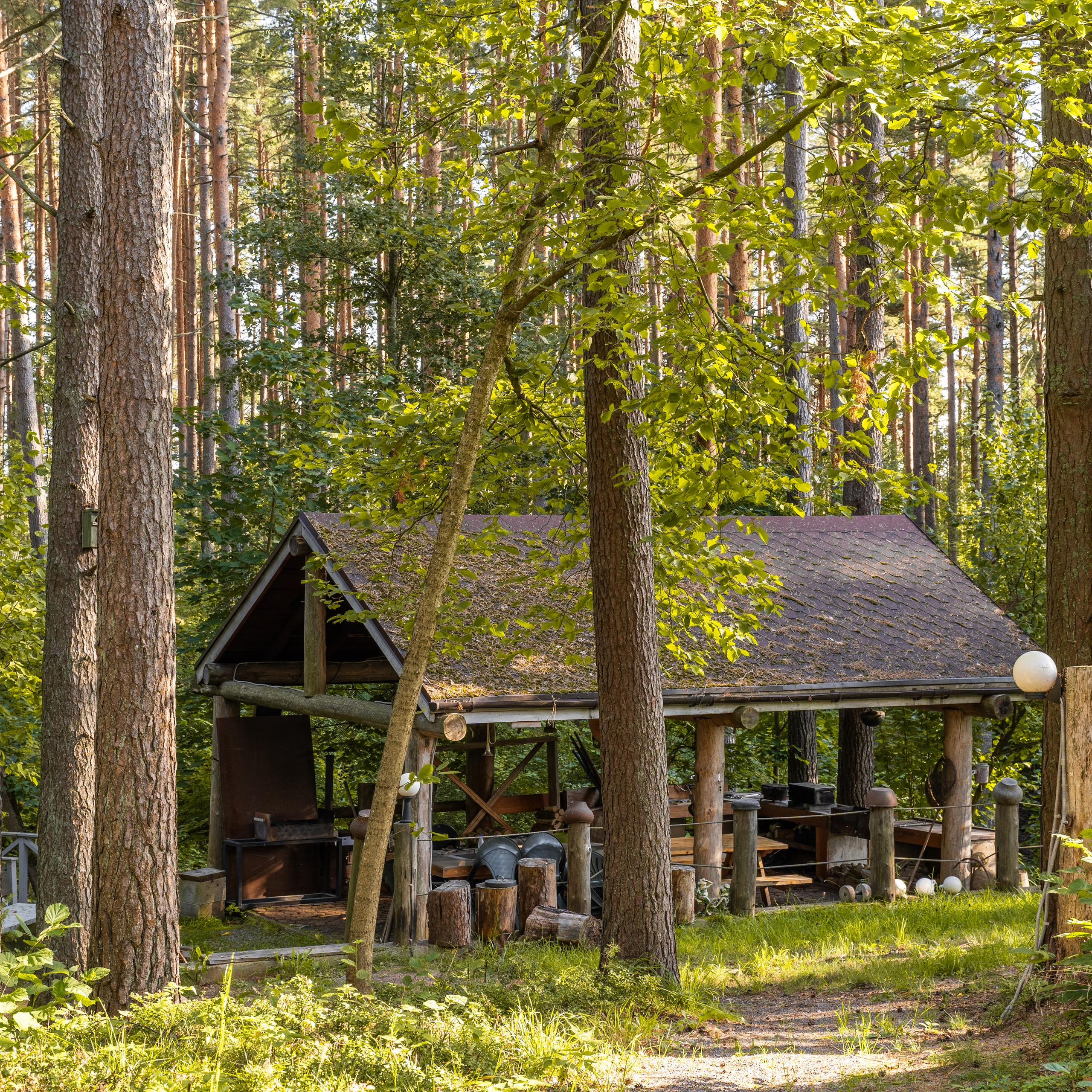 Беседка в лесу