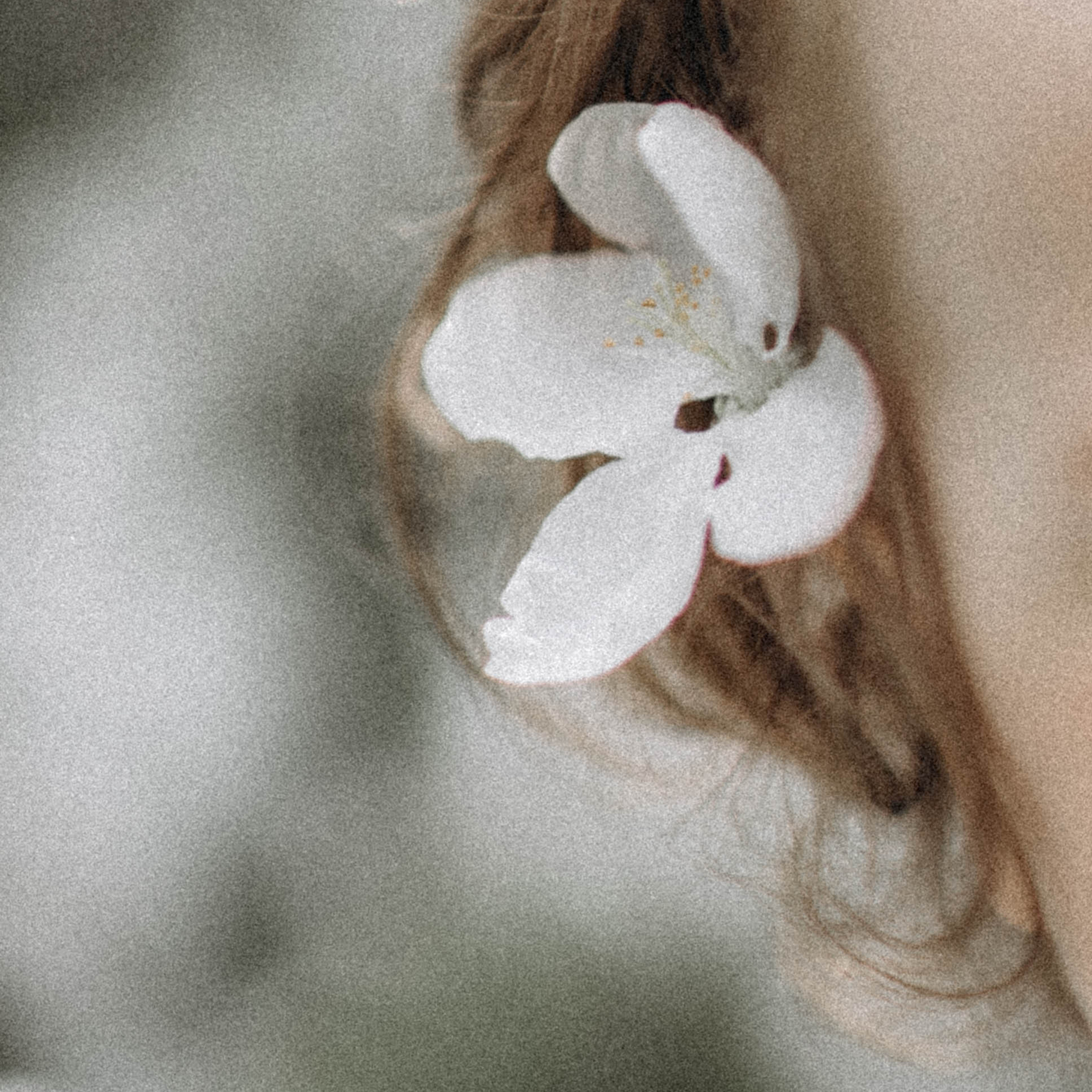 Среди яблонь