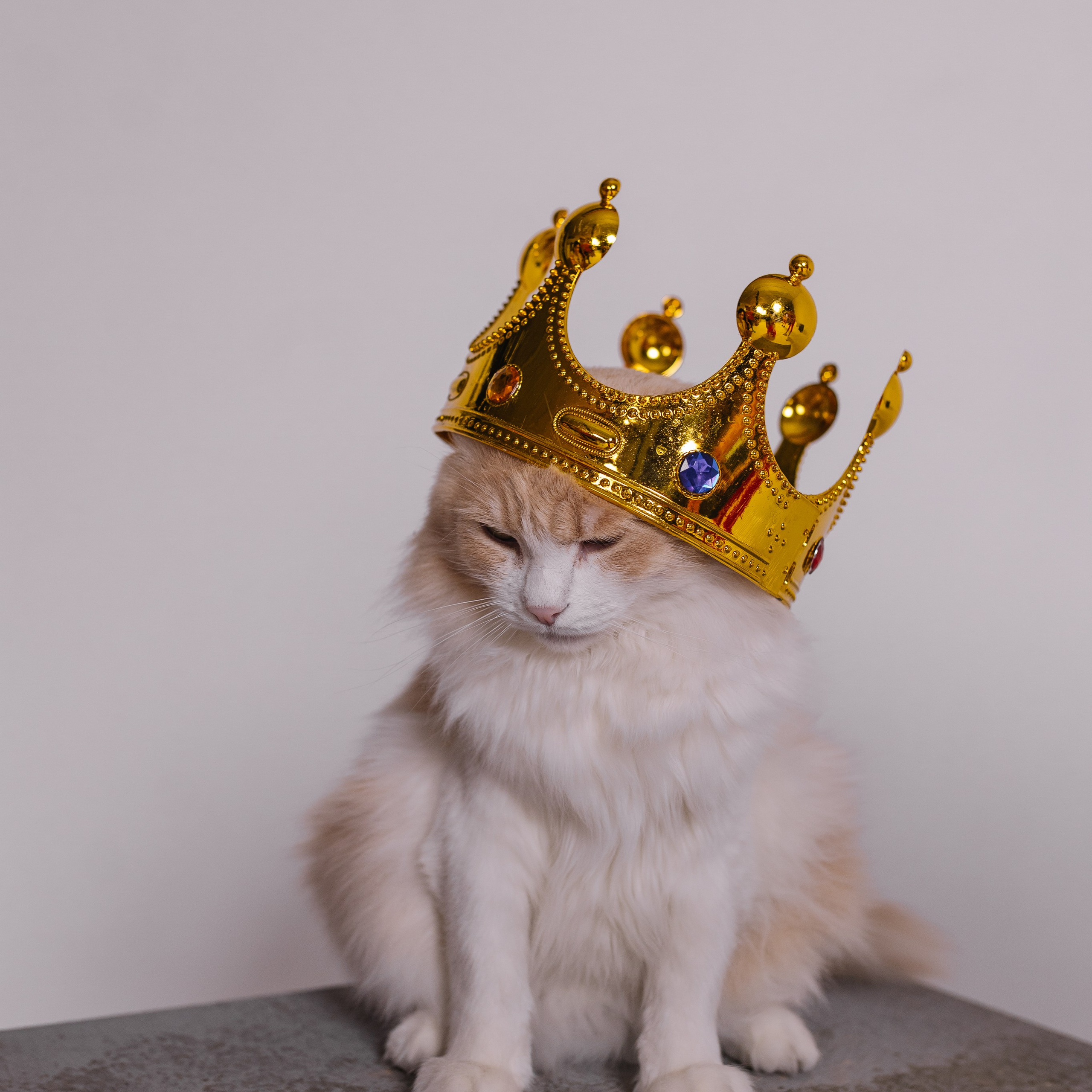 Отзывы. Свадебный и семейный фотограф в Алматы Laura Dosmann