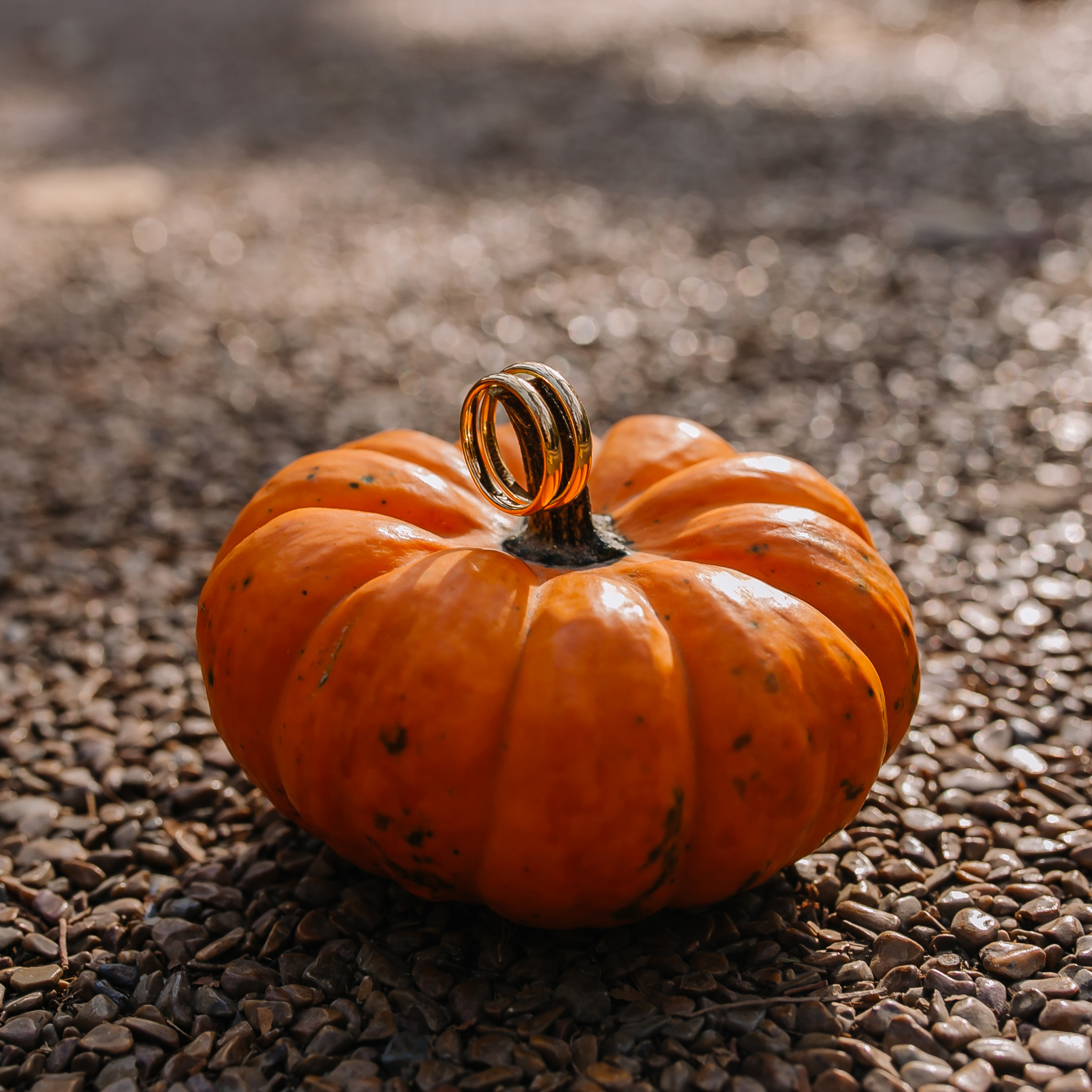 Фотосерии. Свадебный и семейный фотограф в Алматы Laura Dosmann