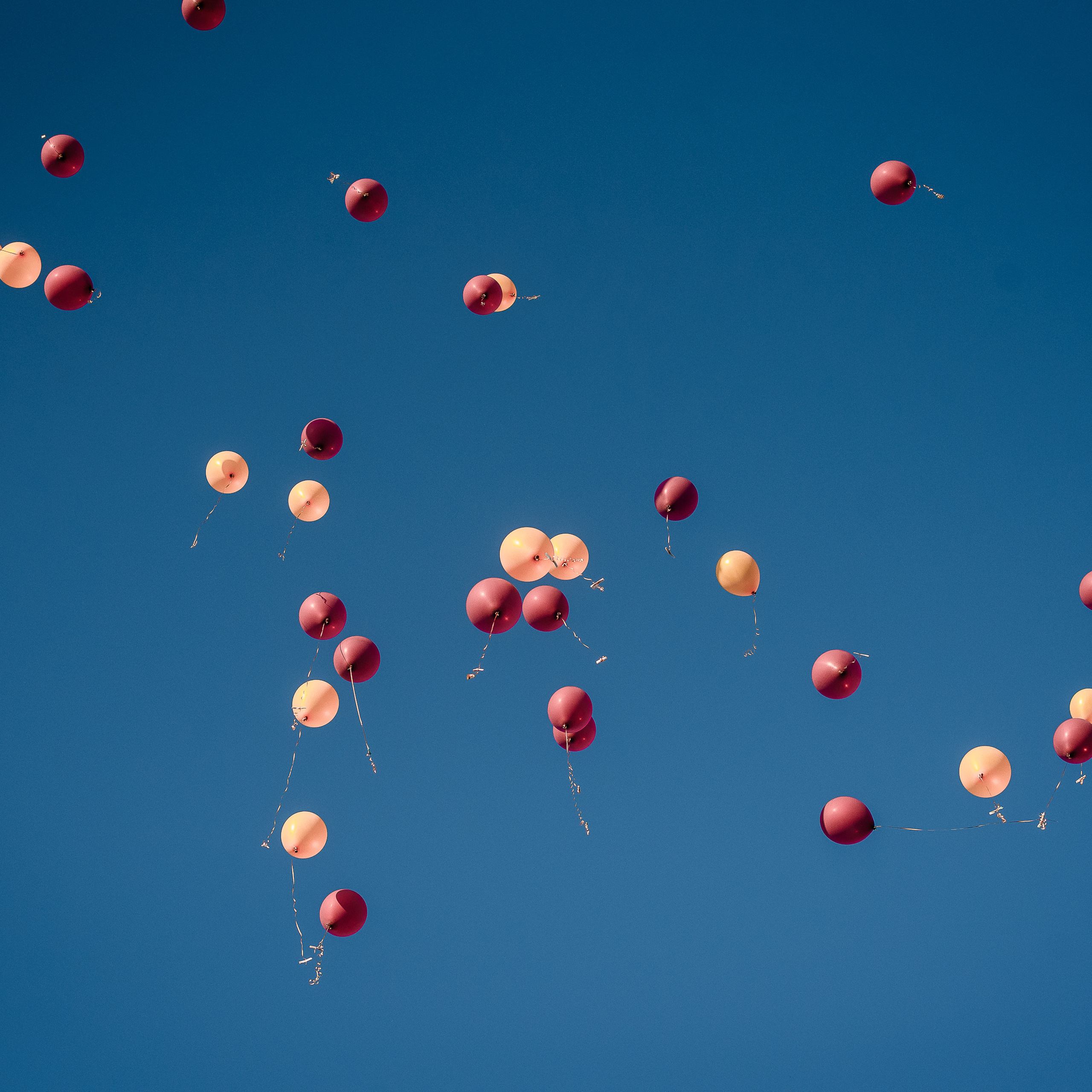 Отзывы Семиколенов Андрей. Свадебный и семейный фотограф Семиколенов Андрей