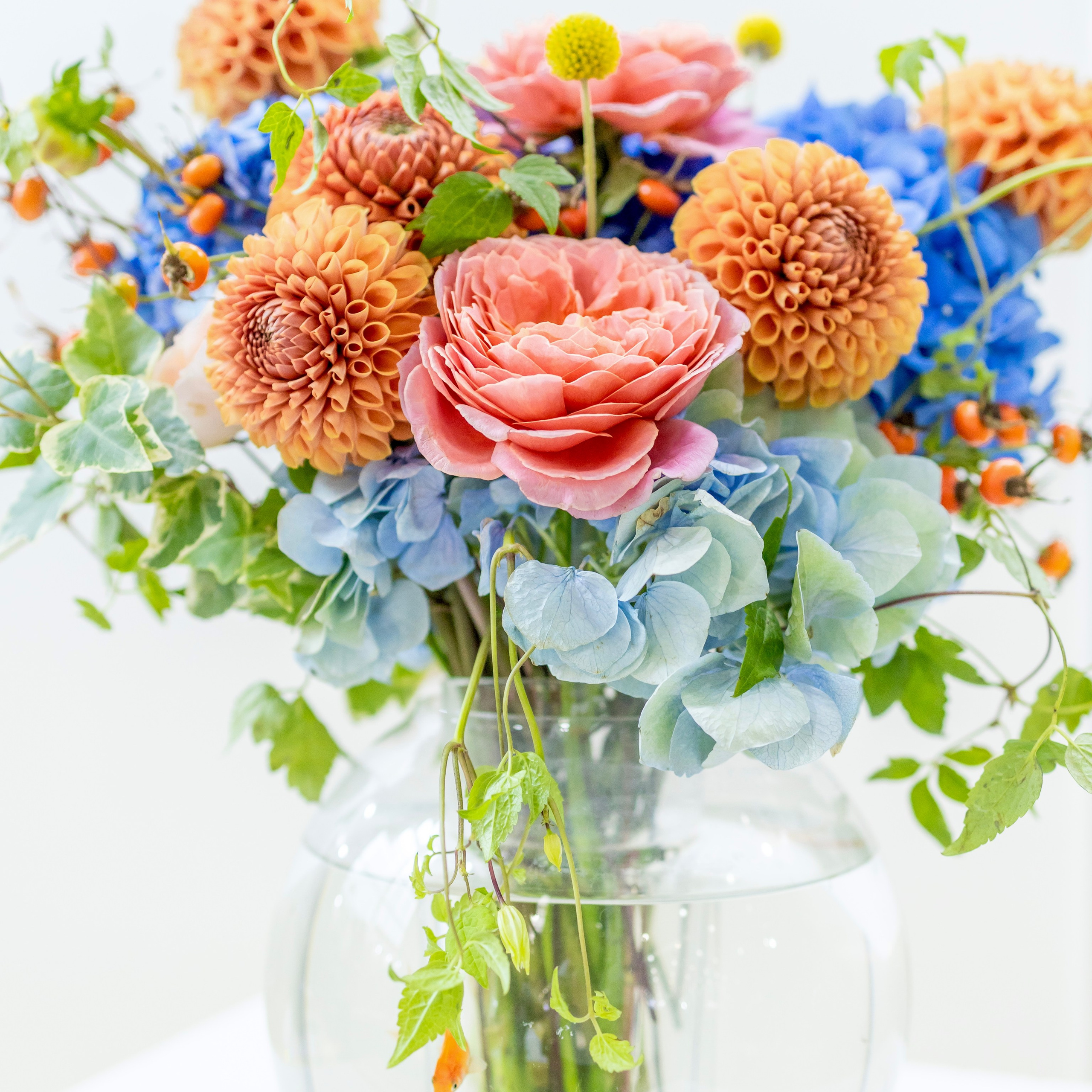 Флористика