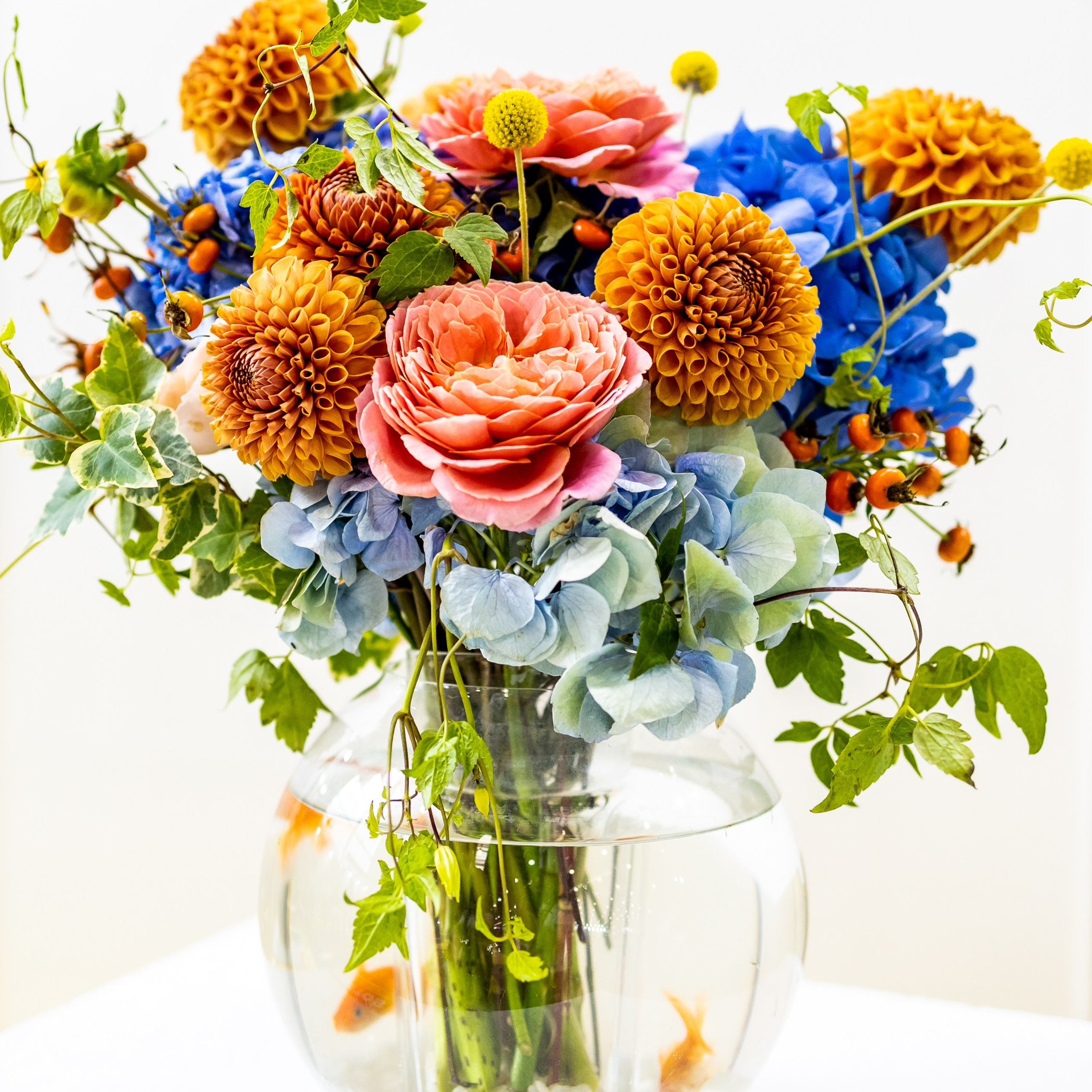 Флористика