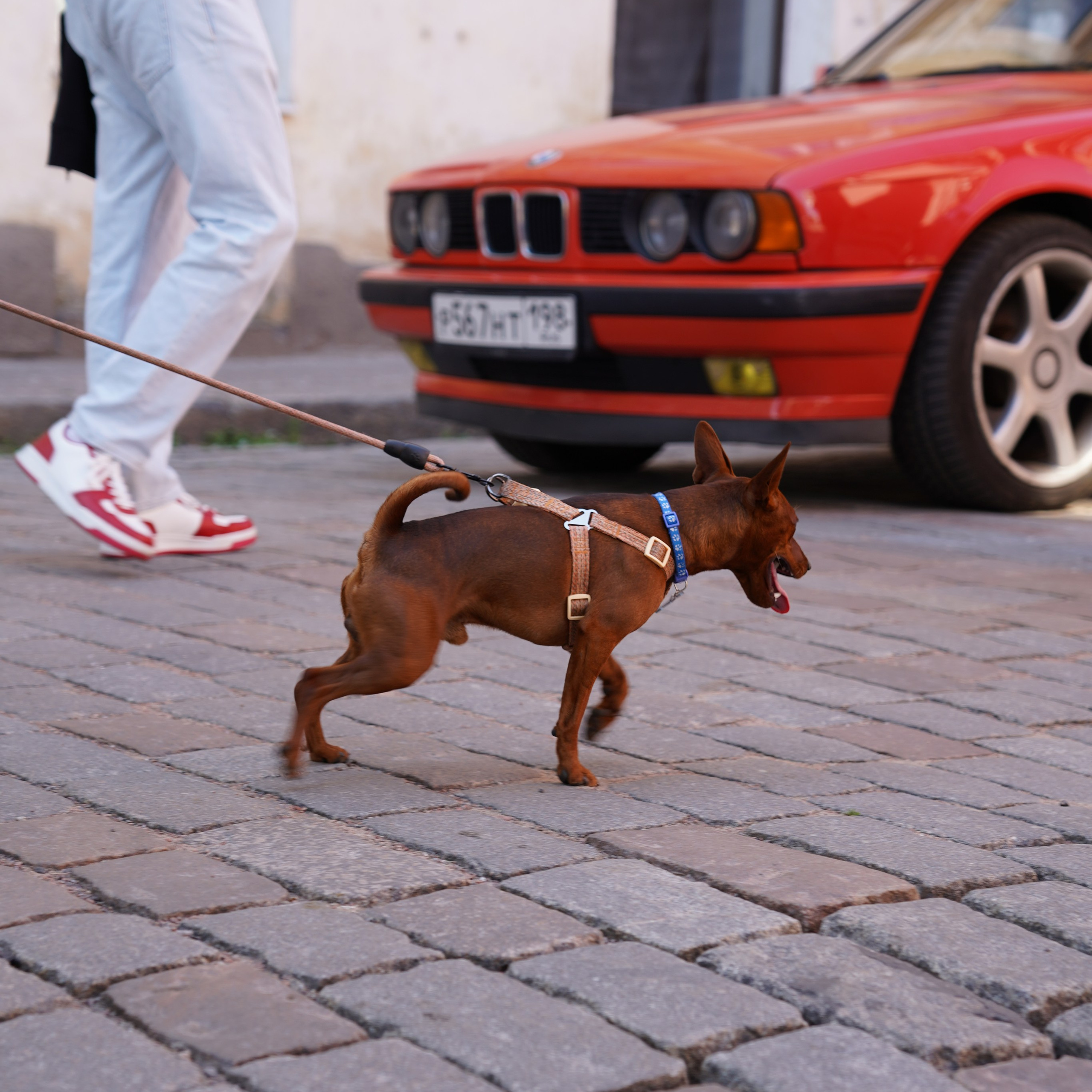 Репортажная съёмка. Анастасия Тюкова — фотограф в Санкт-Петербурге