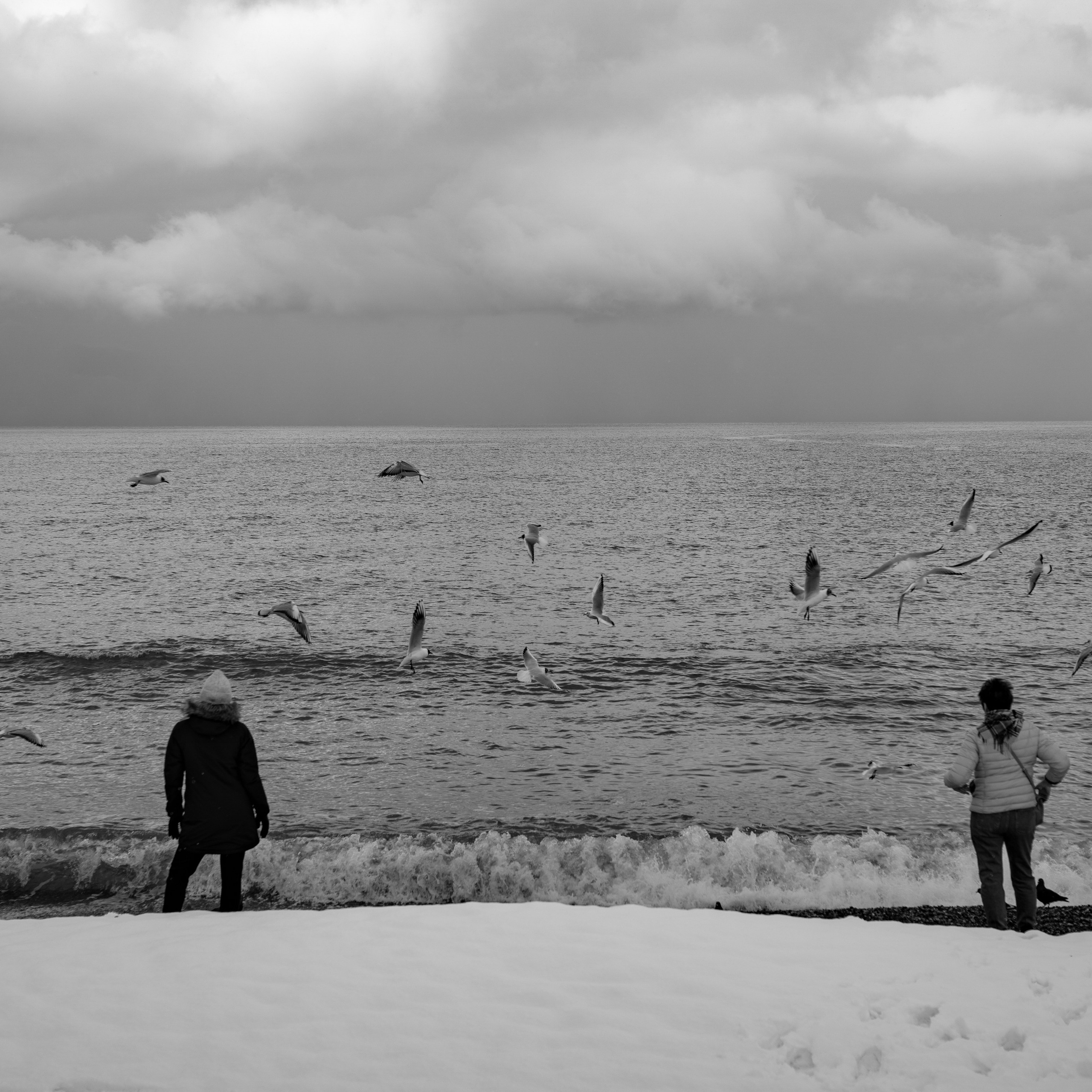 Этюд / Пейзаж. Анастасия Тюкова — фотограф в Санкт-Петербурге