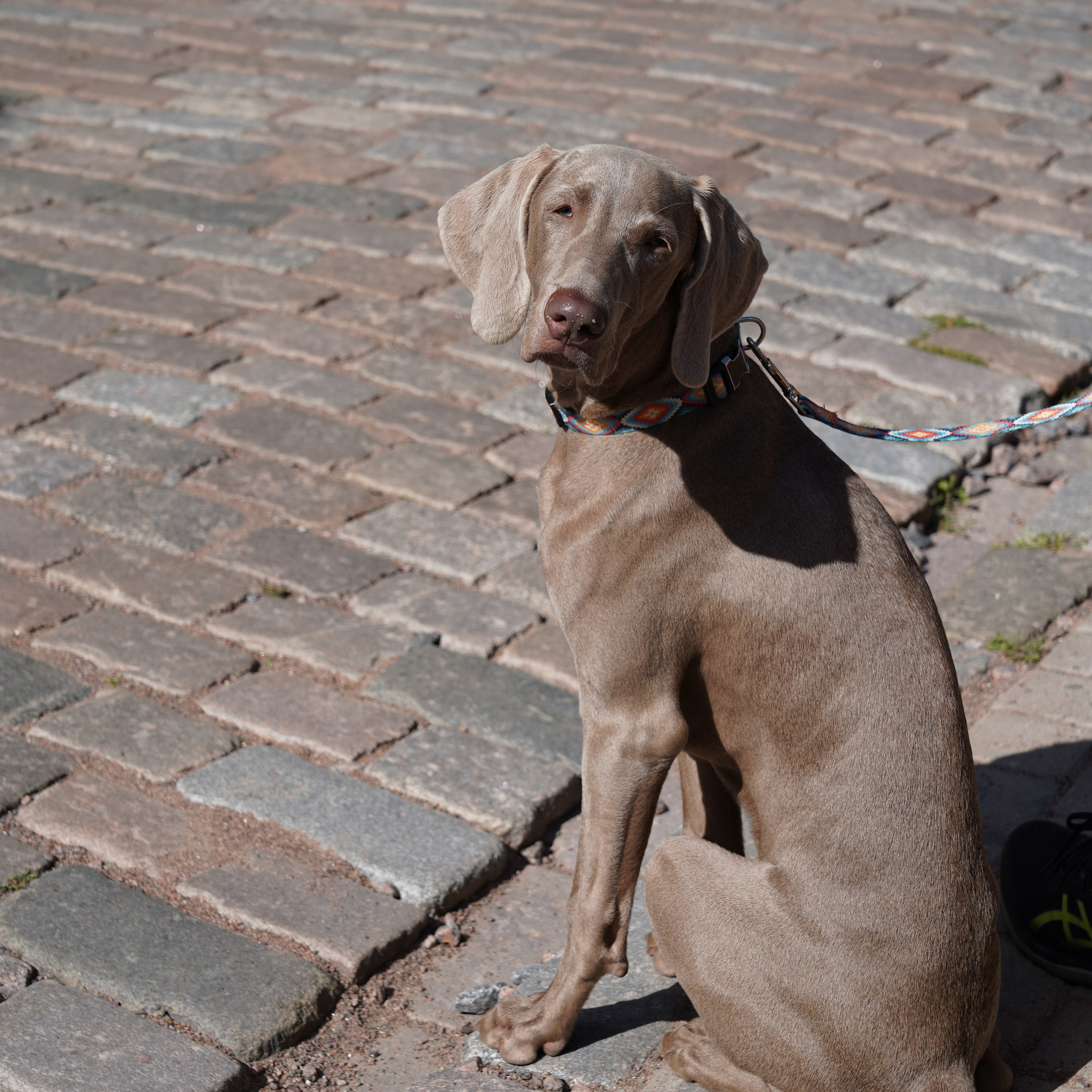 Репортажная съёмка. Анастасия Тюкова — фотограф в Санкт-Петербурге