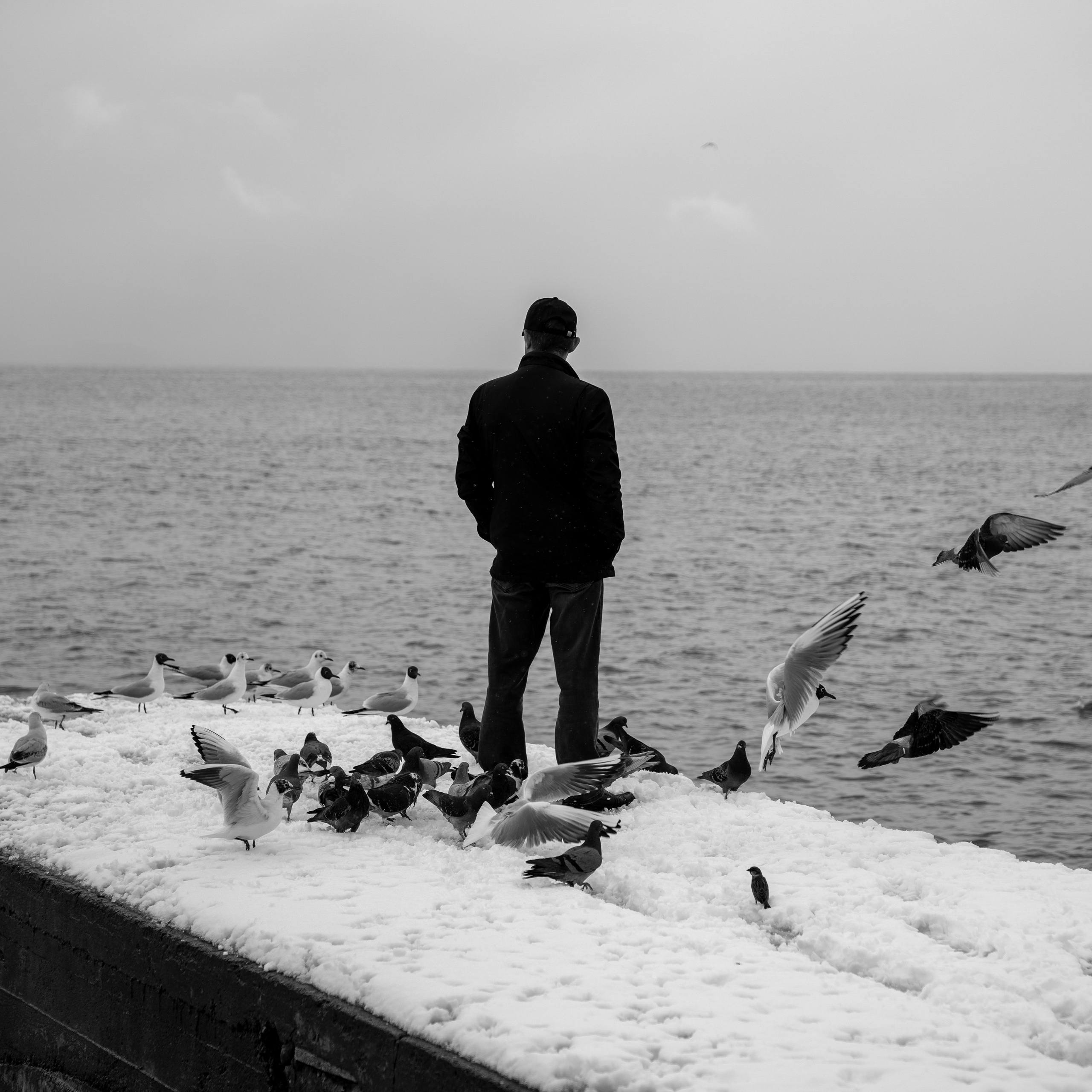 Этюд / Пейзаж. Анастасия Тюкова — фотограф в Санкт-Петербурге