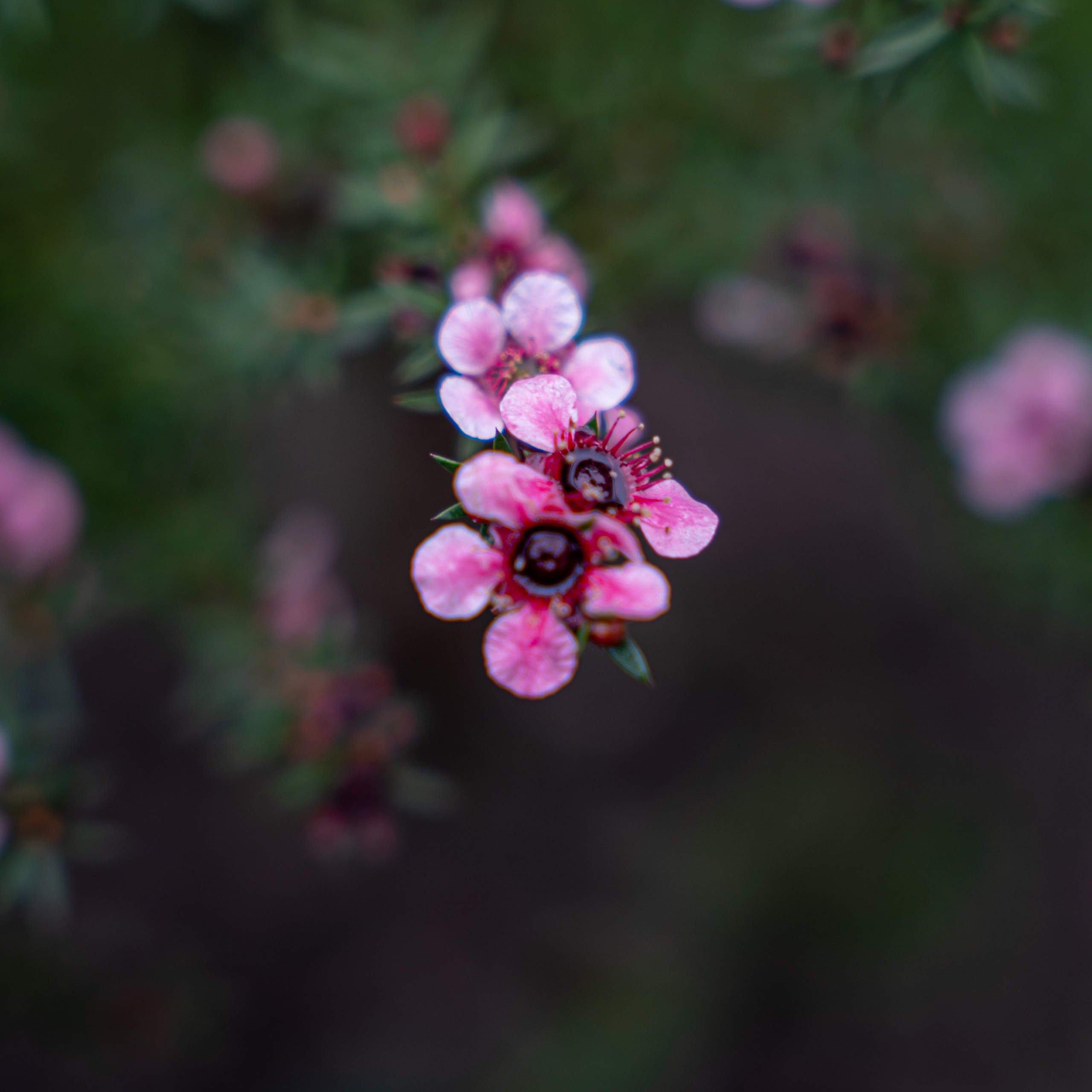 Этюд / Пейзаж. Анастасия Тюкова — фотограф в Санкт-Петербурге