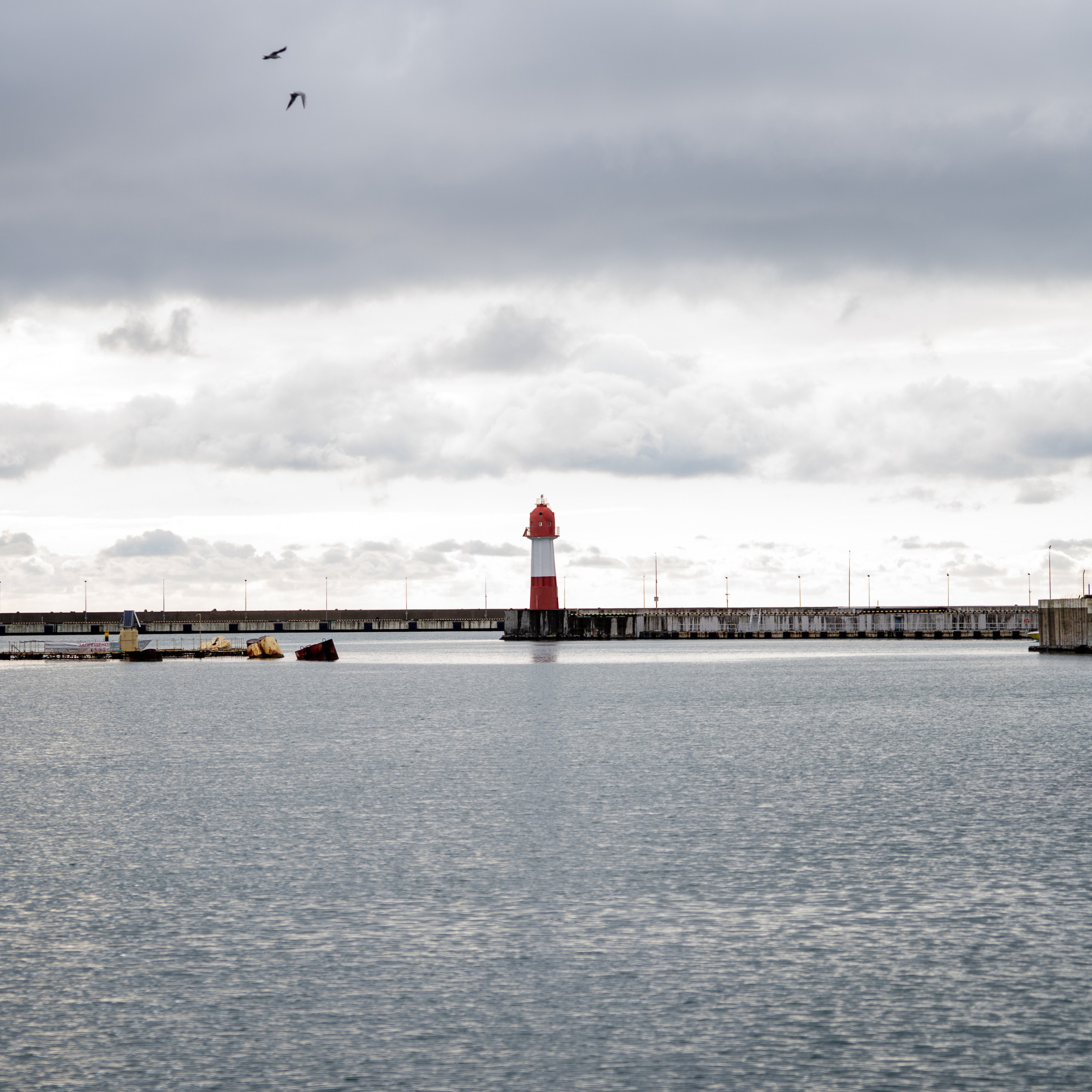 Этюд / Пейзаж. Анастасия Тюкова — фотограф в Санкт-Петербурге