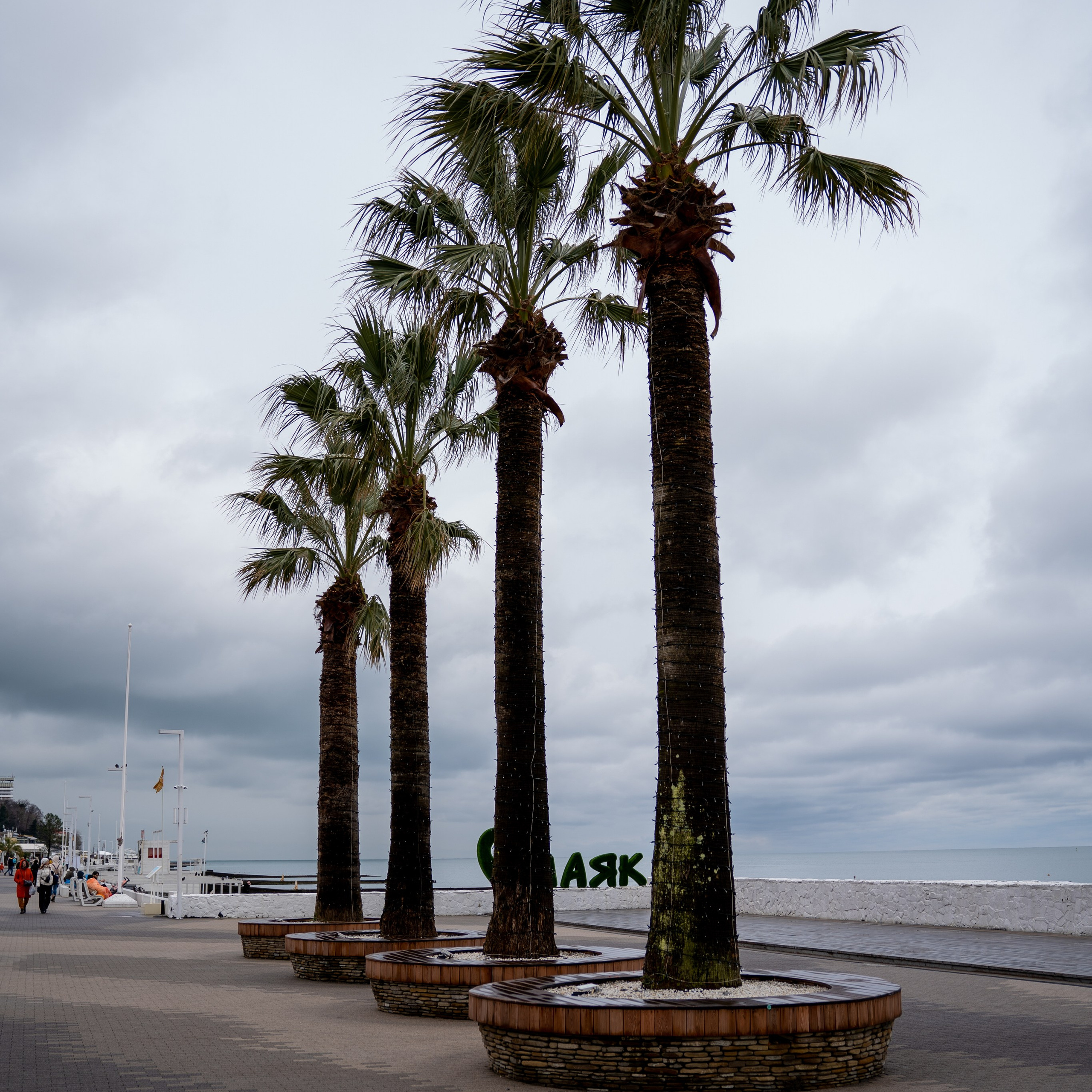 Этюд / Пейзаж. Анастасия Тюкова — фотограф в Санкт-Петербурге