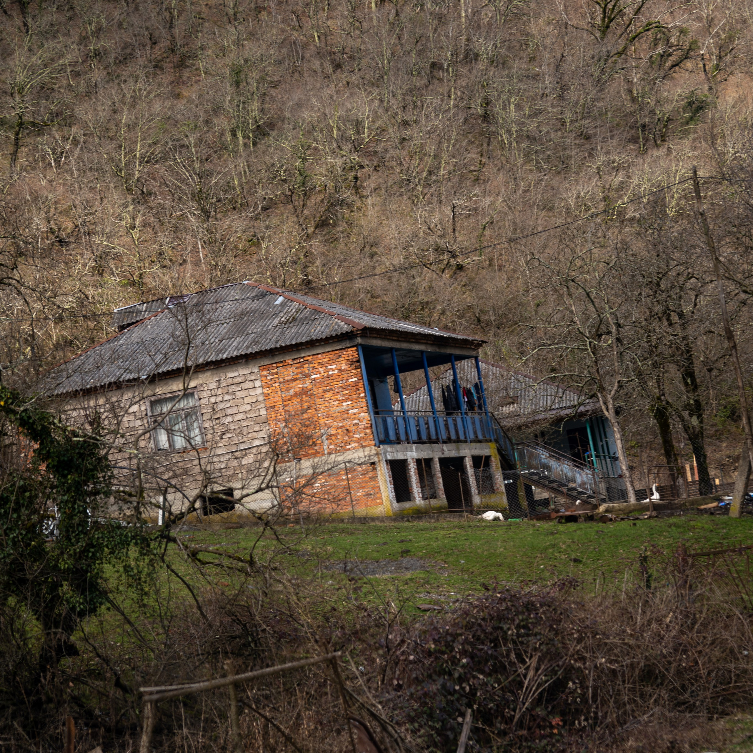 Этюд / Пейзаж. Анастасия Тюкова — фотограф в Санкт-Петербурге