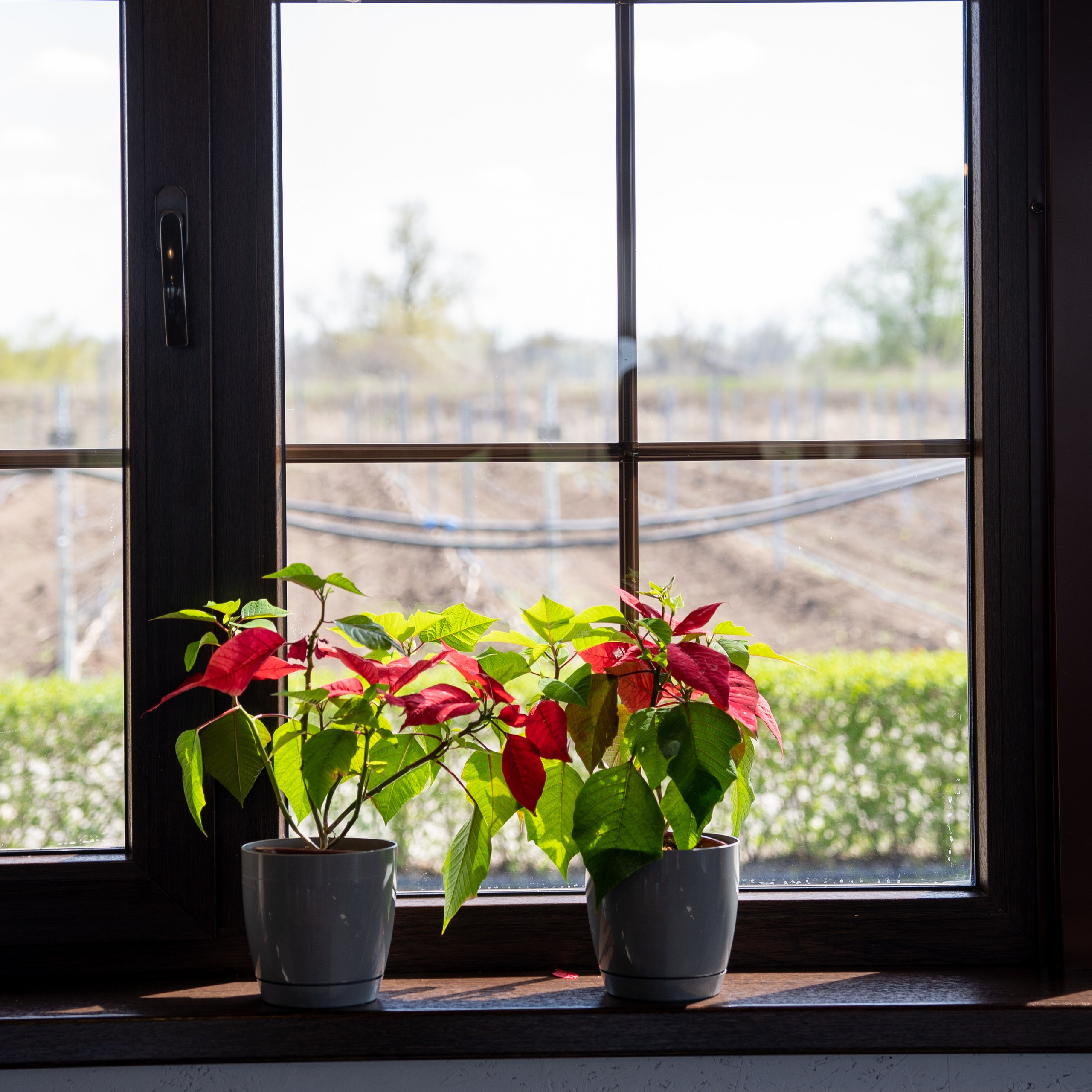 Репортажная съёмка. Анастасия Тюкова — фотограф в Санкт-Петербурге