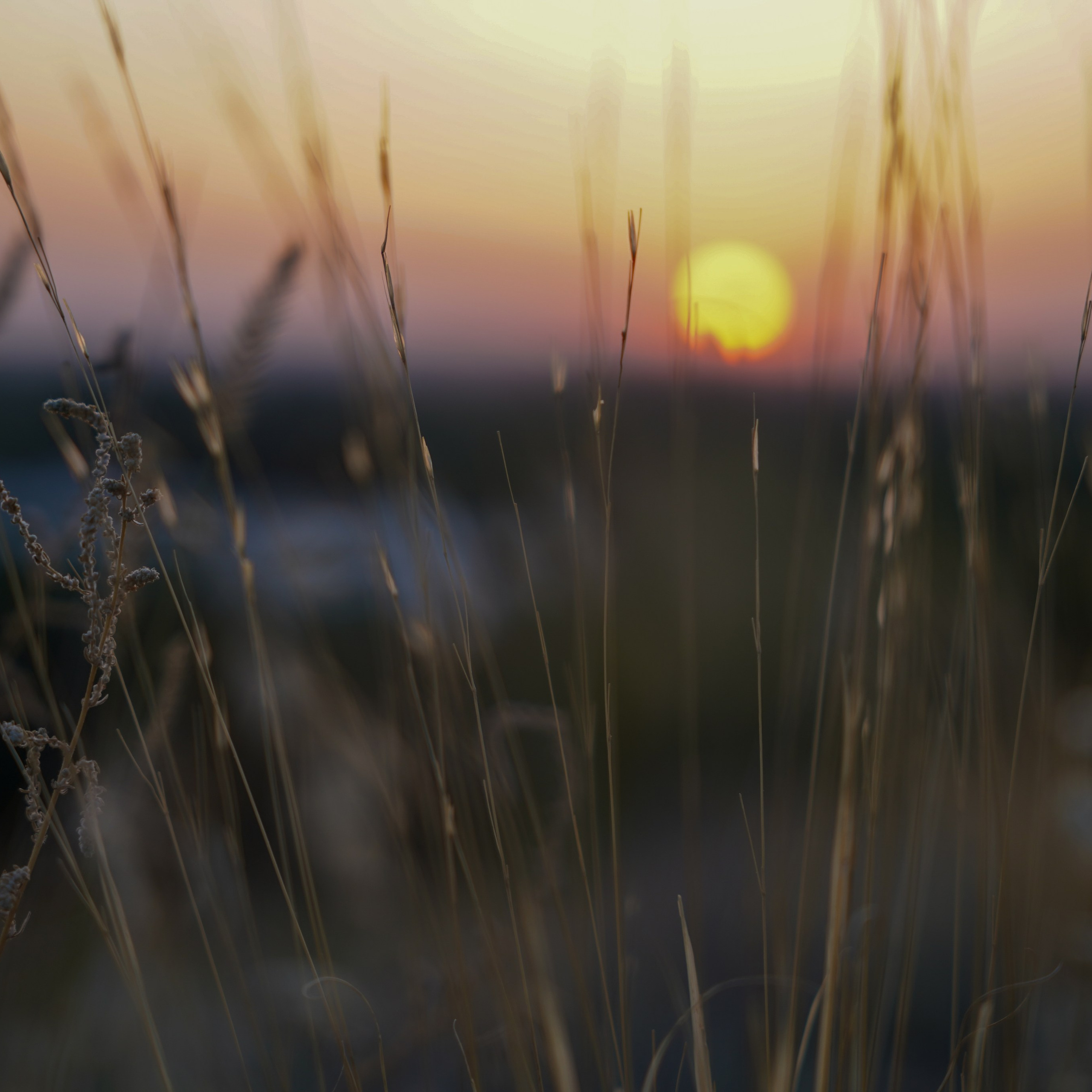 Художественное фото. Анастасия Тюкова — фотограф в Санкт-Петербурге