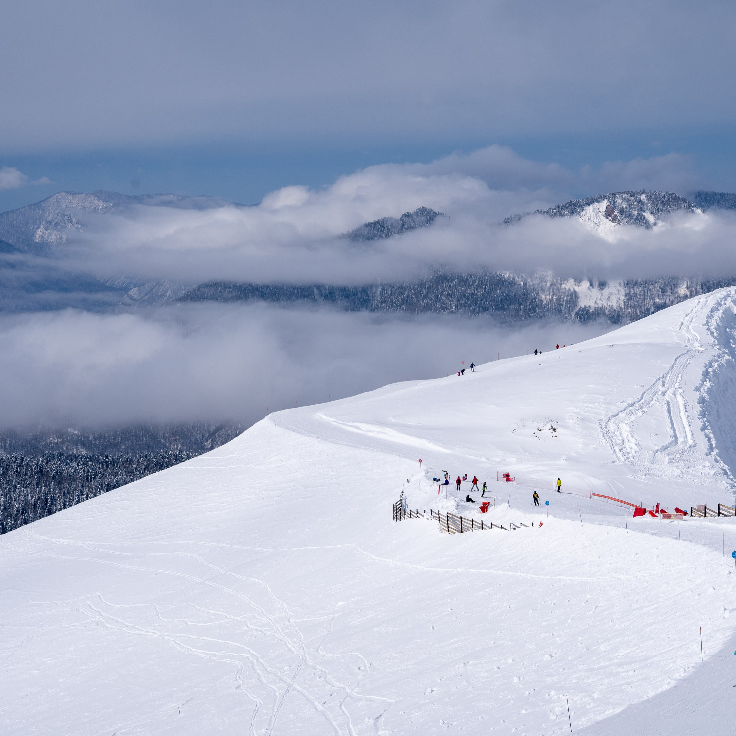 Этюд / Пейзаж. Анастасия Тюкова — фотограф в Санкт-Петербурге
