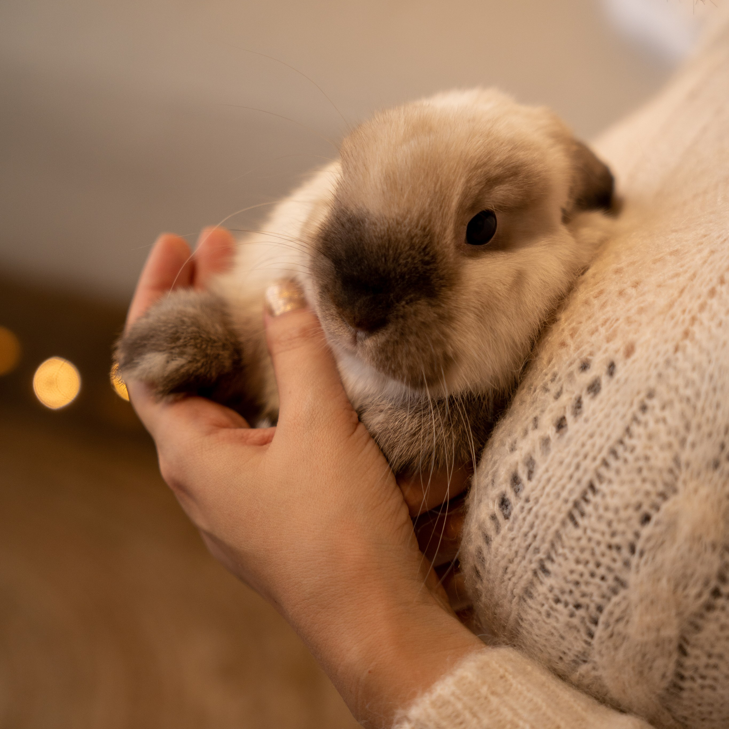 Семейное фото. Анастасия Тюкова — фотограф в Санкт-Петербурге